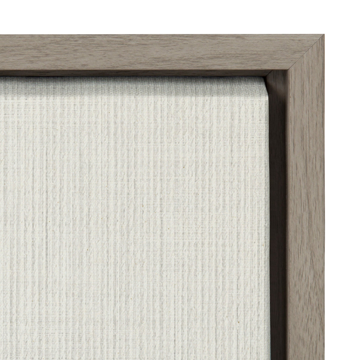 Sylvie Eucalyptus Botanical II Framed Canvas by The Creative Bunch Studio