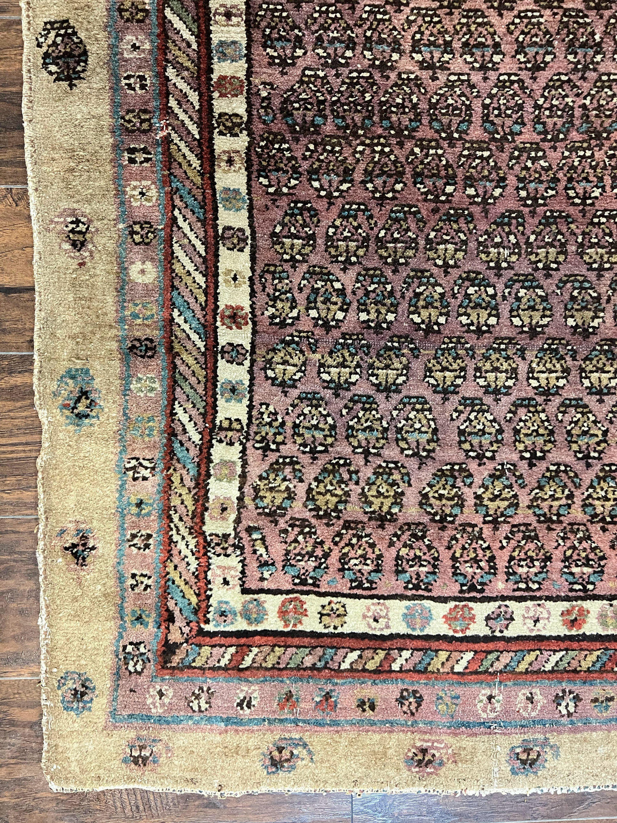 Antique Persian Sarab Runner Rug 3x11, Wool Camel Hair, Tribal Carpet for Hallway 3 x 11, Antique 1920s Rug, Handmade - Jewel Rugs, view 7