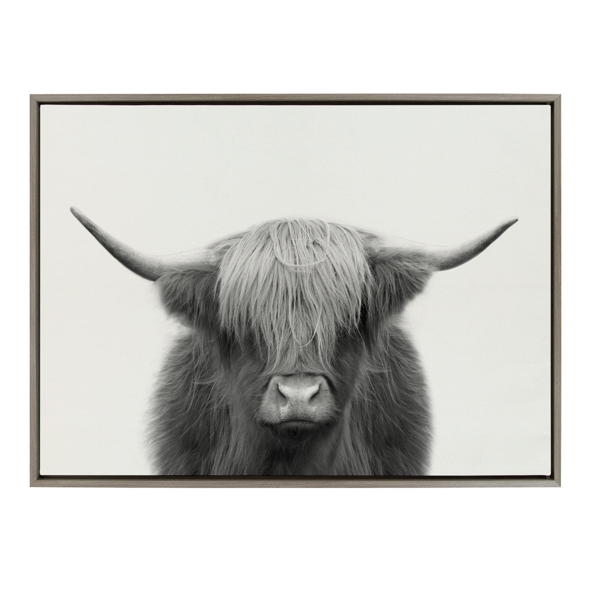 Sylvie Hey Dude Highland Cow Framed Linen Canvas by The Creative Bunch Studio
