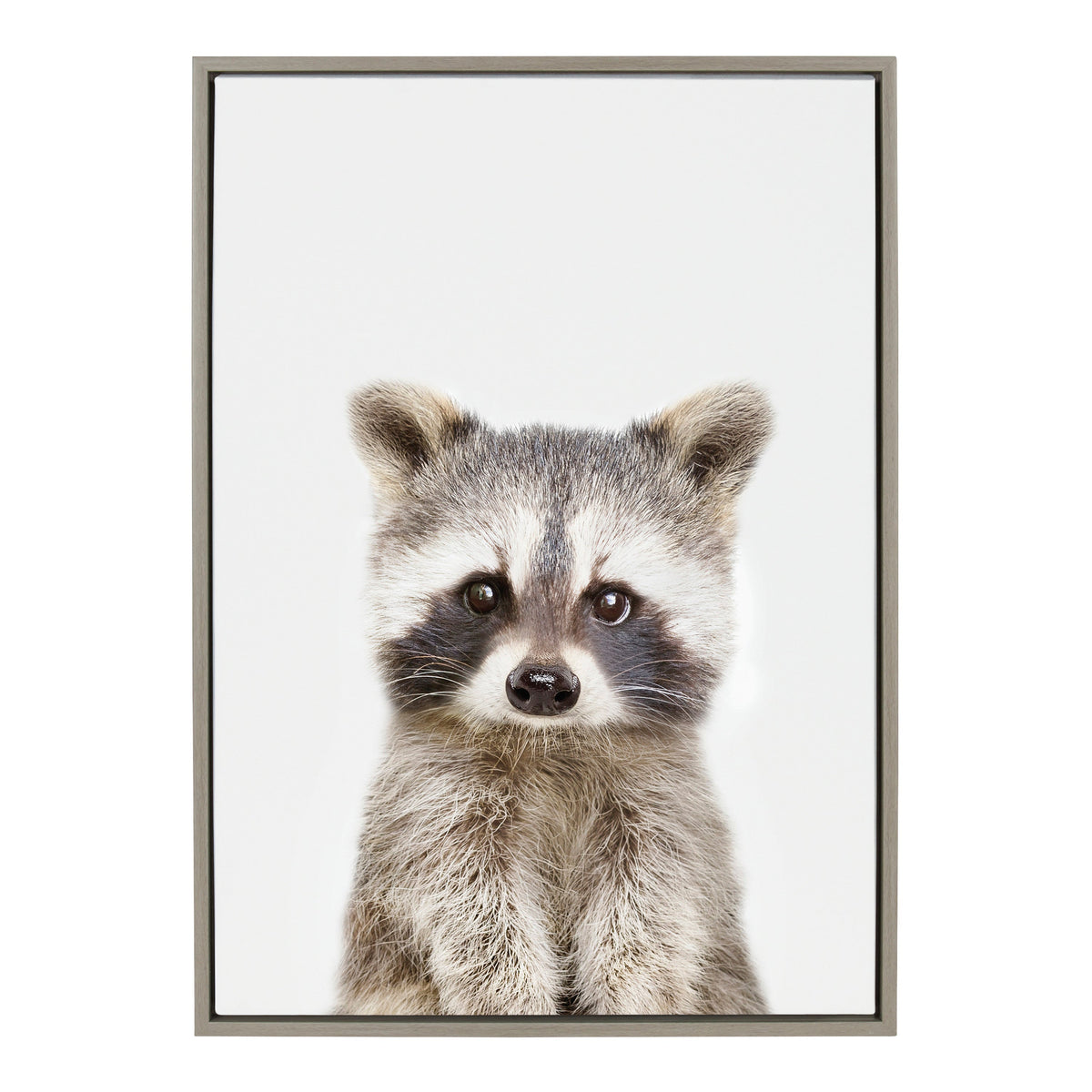 Sylvie Raccoon Framed Canvas by Amy Peterson Art Studio