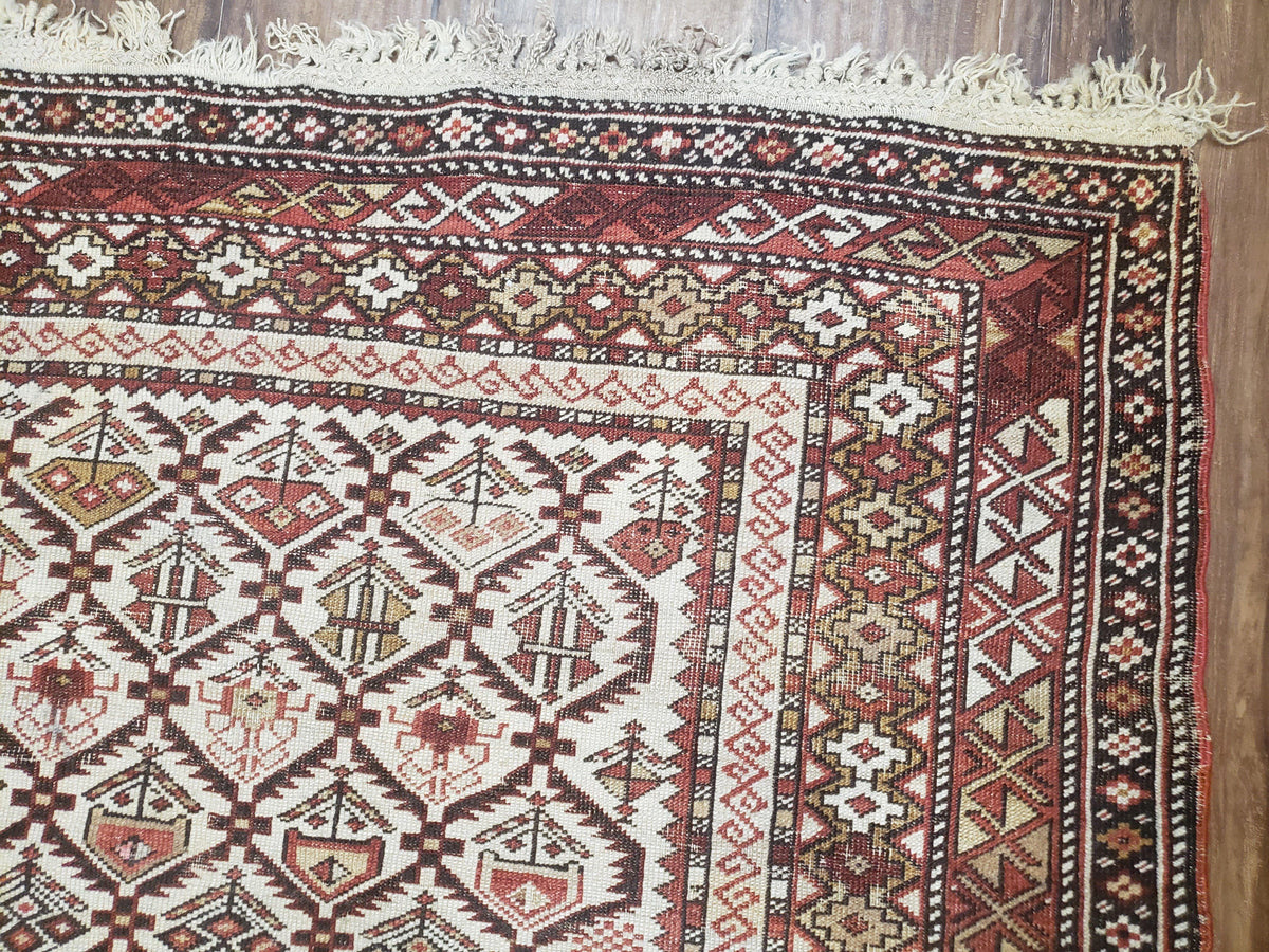 Antique Caucasian Shirvan Rug 4x6, Dagestan Area Rug, Wool Hand-Knotted Soft Red & Ivory 1920s Oriental Carpet, Soft Muted Colors - Jewel Rugs, view 7