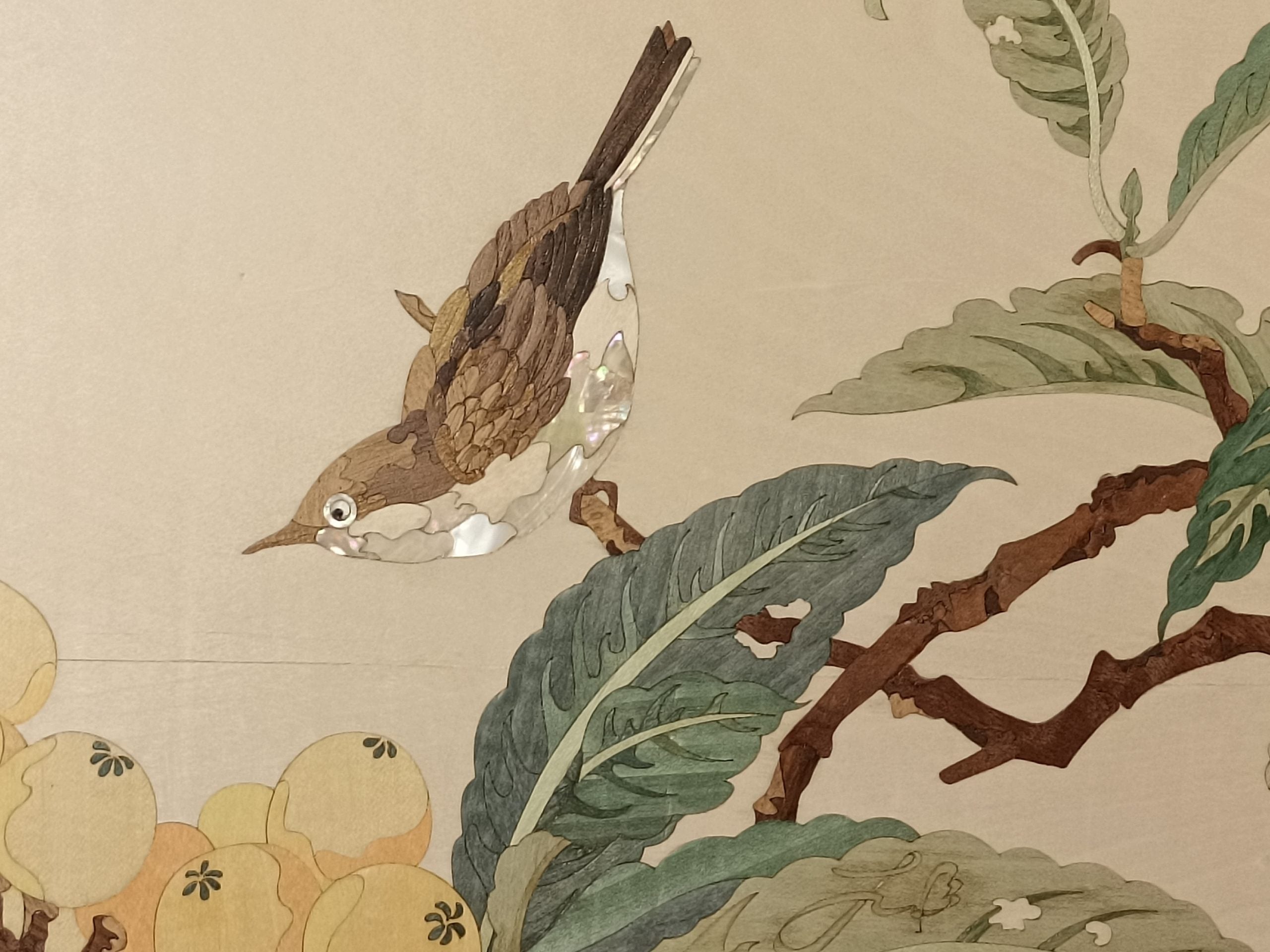 Loquat image 3