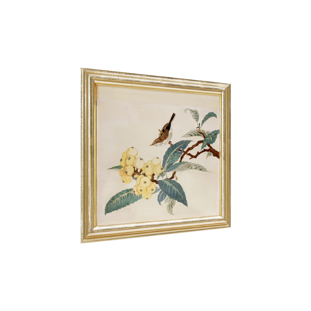 Loquat image 0