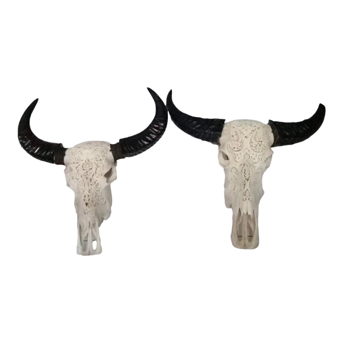 Approx. 20" High Genuine Bull Skull with Carving (size varies)