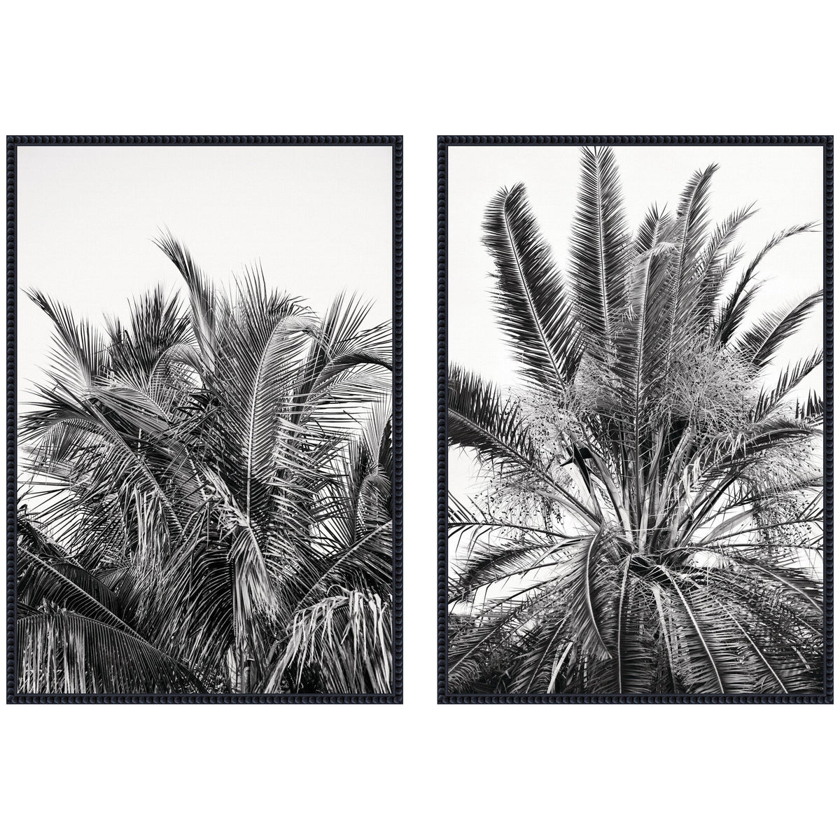 Palms No. 13 & No.15 2 Piece Framed Canvas Wall Art Set by Alicia Bock
