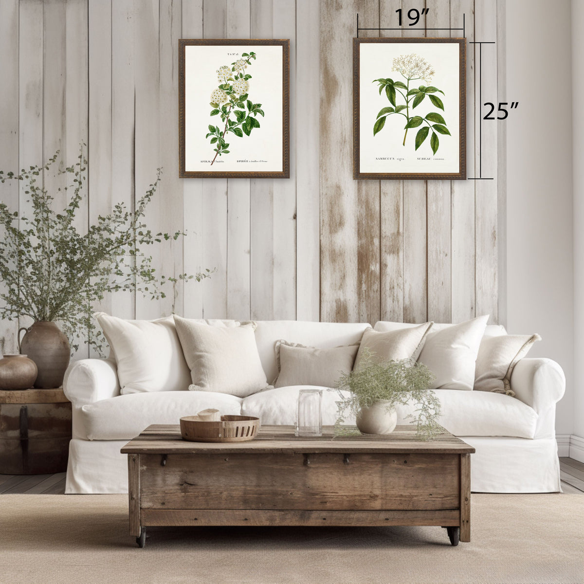White Spirea on White Background - Antique Curiosities, view 3