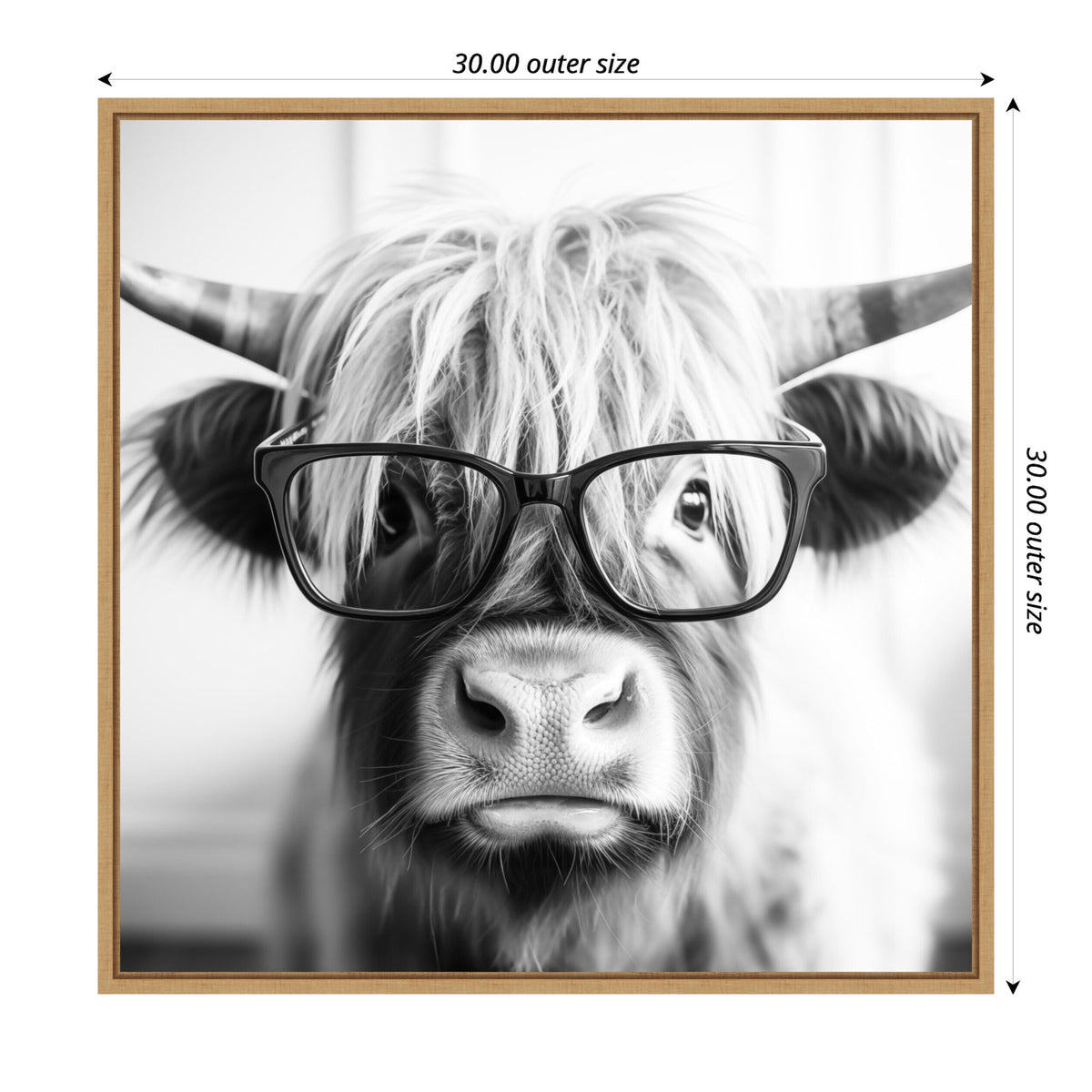 Sylvie Black and White Highland Cow in Reading Glasses Framed Canvas by The Creative Bunch Studio
