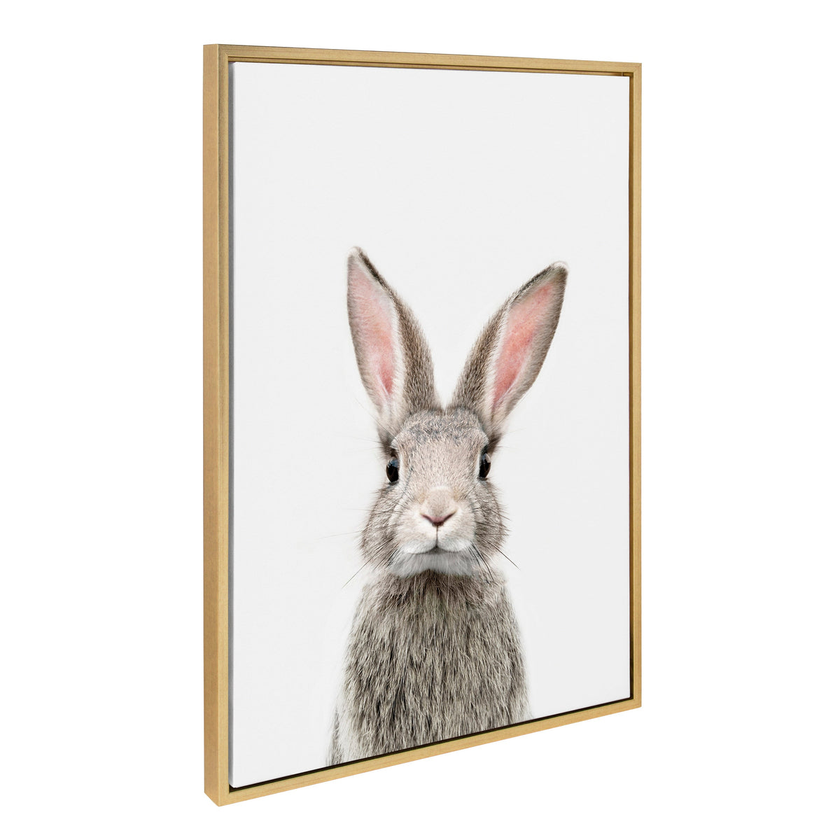 Sylvie Young Rabbit Framed Canvas by Amy Peterson Art Studio