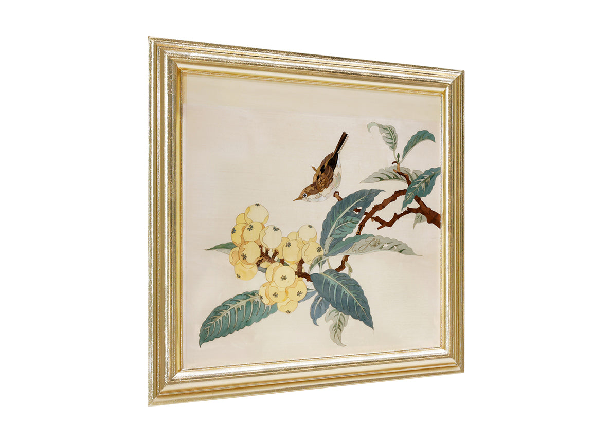 Loquat image 1