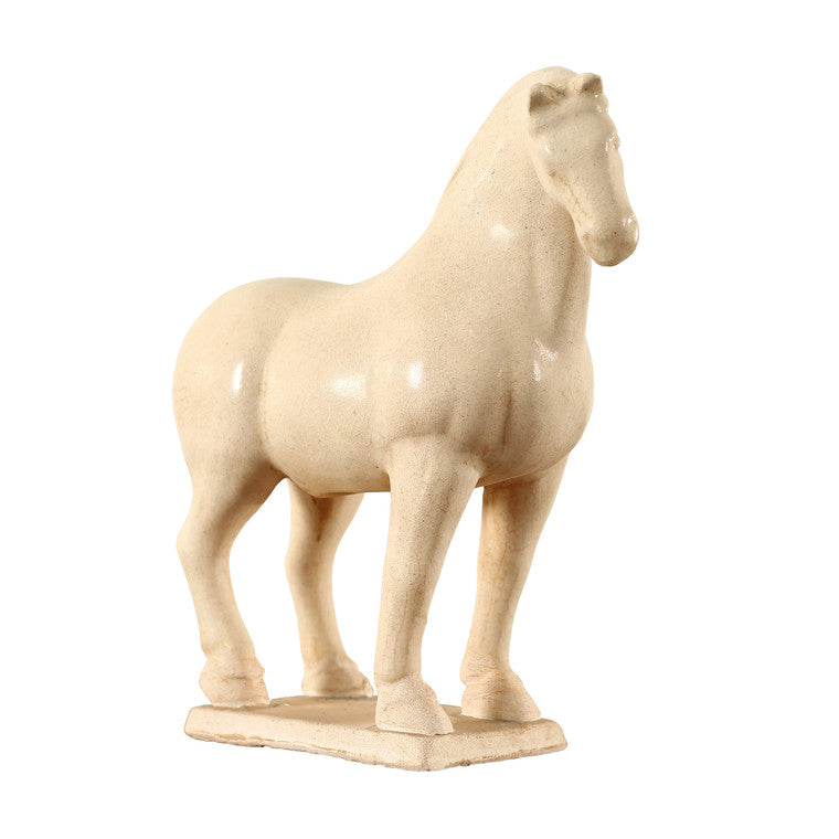 White Stallion Small image 3