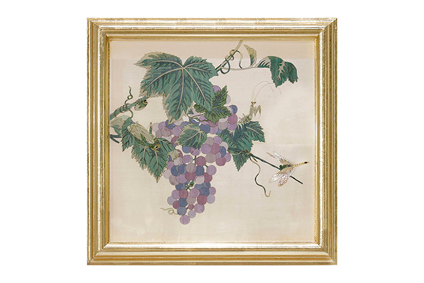 Grape image 1
