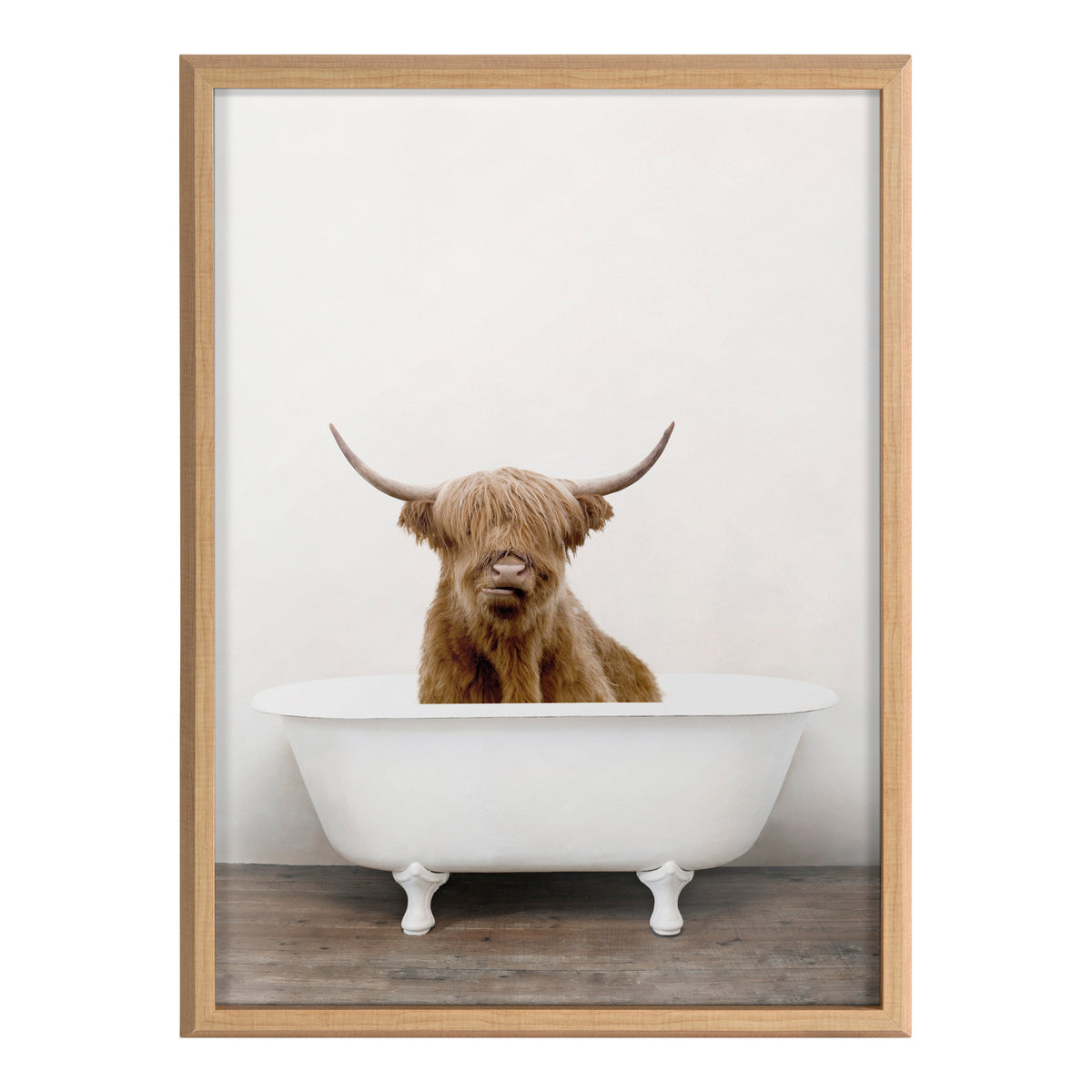 Blake Highland Cow in Tub Color Framed Printed Glass by Amy Peterson Art Studio