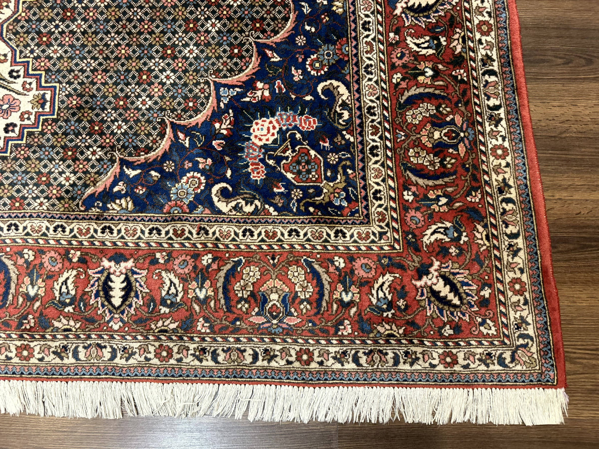 Persian Rug 7x10, Bakhtiari Saman Rug, Unique Design and Colors, Ivory Red Blue, Large Tribal Rug - Jewel Rugs, view 9