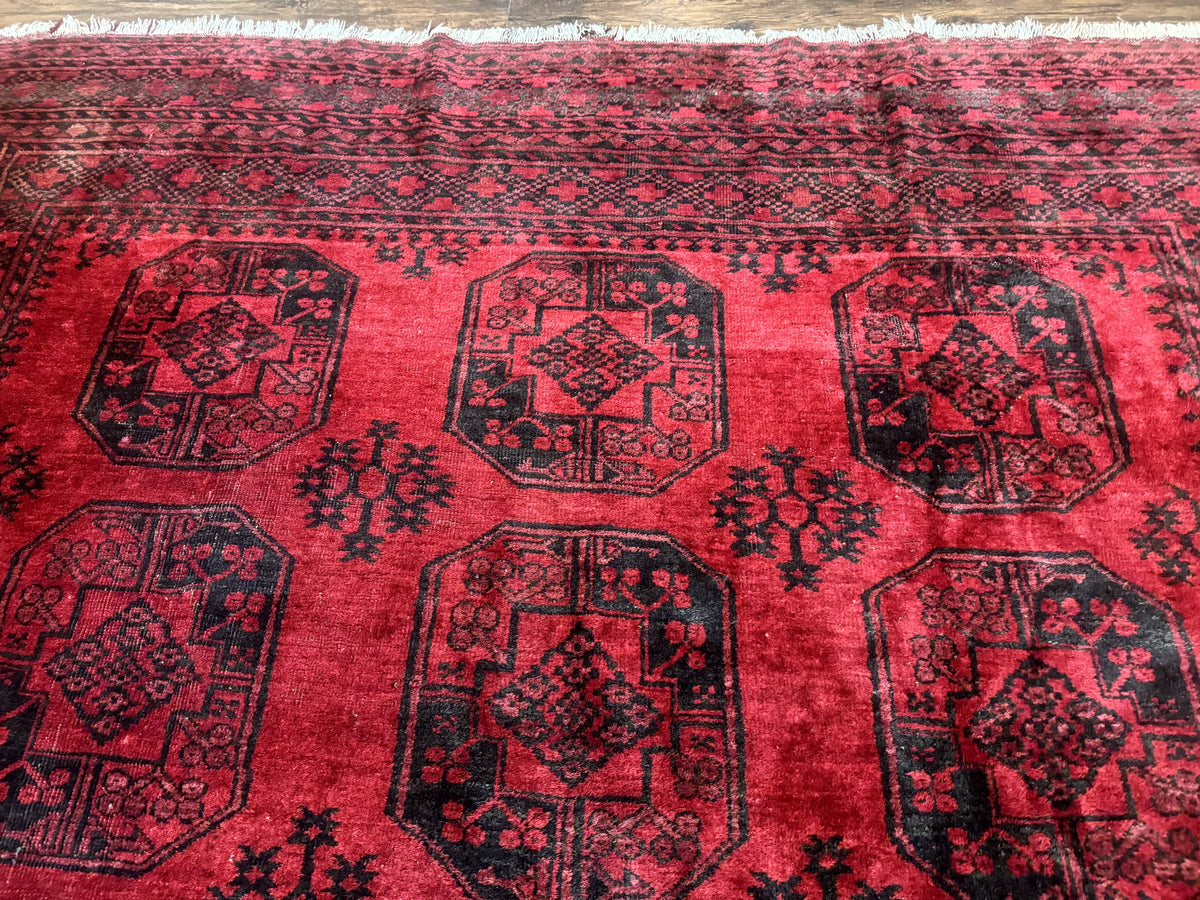 Afghan Turkoman Rug 9x10, Red Beshir Carpet, Tribal, Wool, Antique - Jewel Rugs, view 3