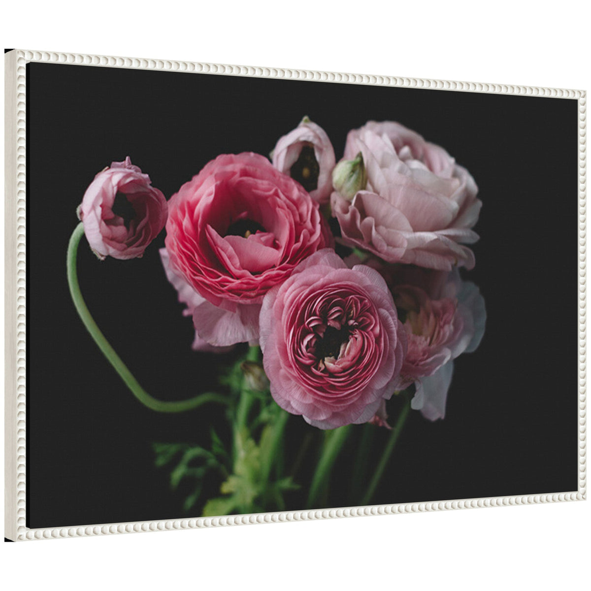 Sylvie Mood Dark Pink Ranunculus Flower Bouquet Framed Canvas by Kristy Campbell