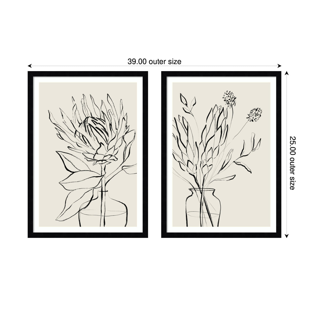 Protea Sketch No. 1 & No. 2 2 Piece Framed Wall Art Print Set by Sara Berrenson