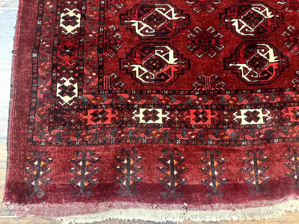 Antique Afghan Turkoman Mafrash Rug 3x5, Red, Hand Knotted, Wool, Tribal Collectible - Jewel Rugs, view 6