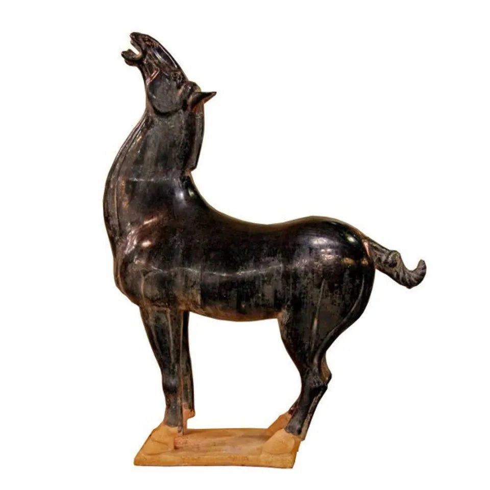 Black Stallion Large image 1