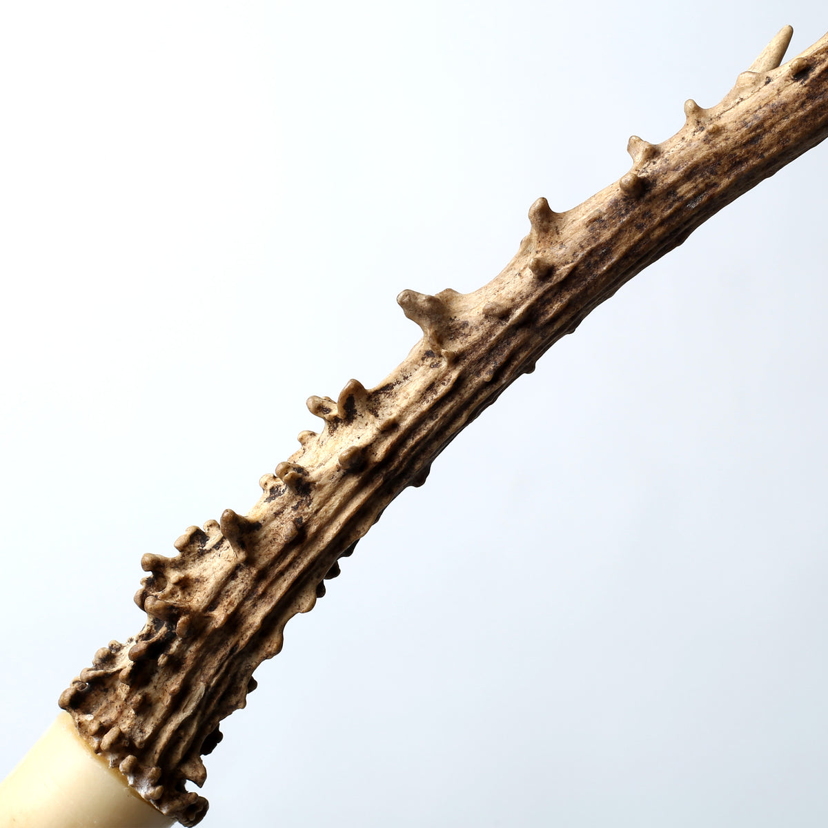 Large Deer Horn Calligraphy Brush
