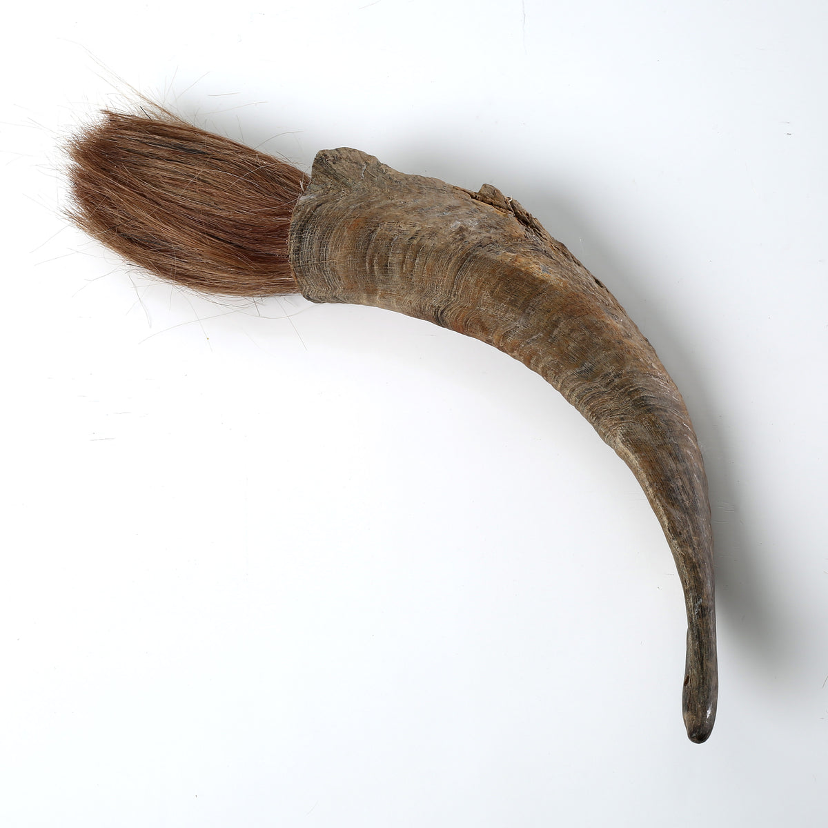 Ram Horn Calligraphy Brush( Approx 14" Long. Size and color vary)
