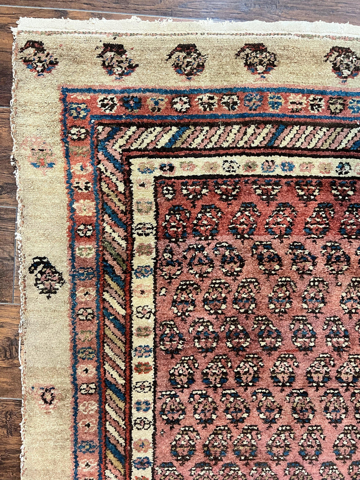 Antique Persian Sarab Runner Rug 3x11, Wool Camel Hair, Tribal Carpet for Hallway 3 x 11, Antique 1920s Rug, Handmade - Jewel Rugs, view 5