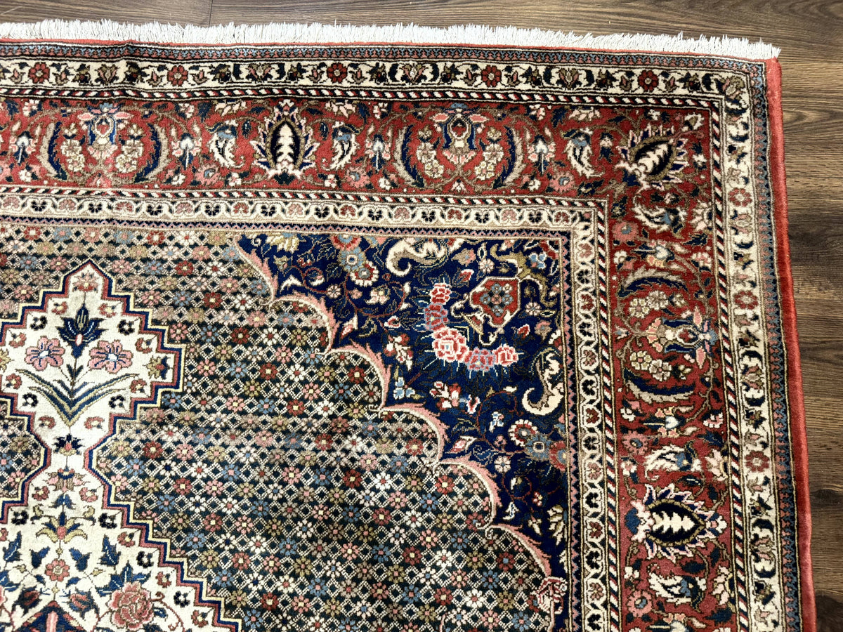 Persian Rug 7x10, Bakhtiari Saman Rug, Unique Design and Colors, Ivory Red Blue, Large Tribal Rug - Jewel Rugs, view 7