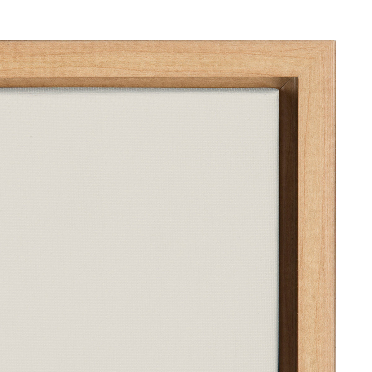 Sylvie Mid Century Modern Baby Zebra Framed Canvas by Rachel Lee of My Dream Wall