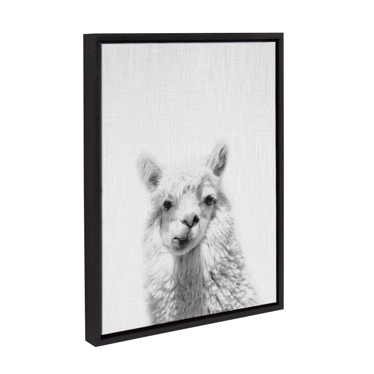 Sylvie Alpaca Framed Canvas by Simon Te of Tai Prints