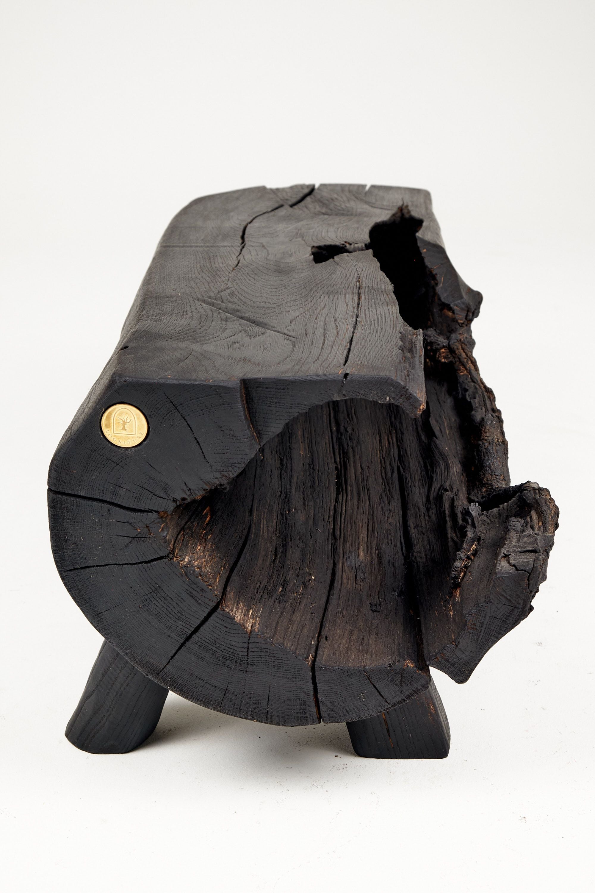 Jownik - Charred Wood Bench, Organic, Sculptural Design - image 9