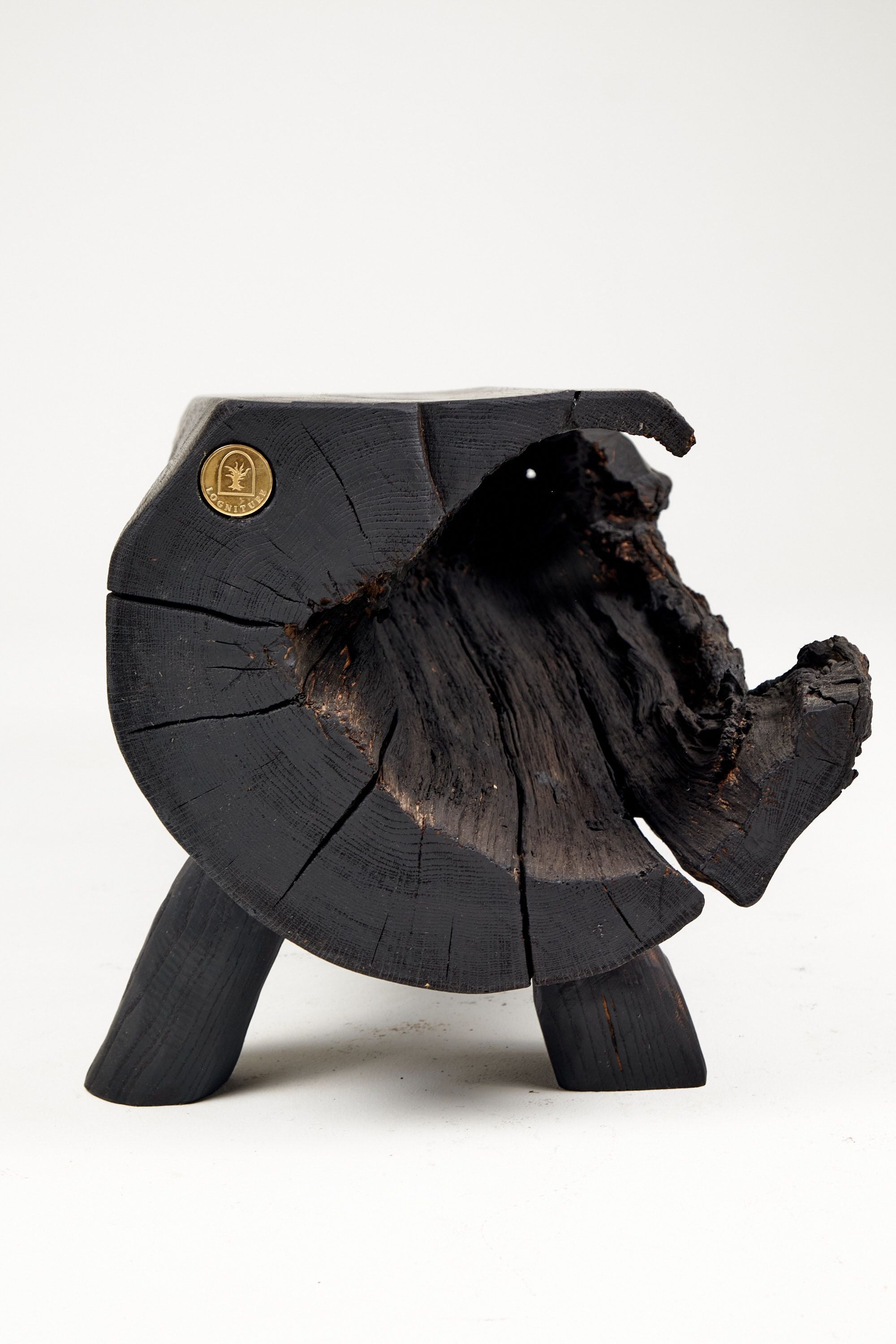 Jownik - Charred Wood Bench, Organic, Sculptural Design - image 10