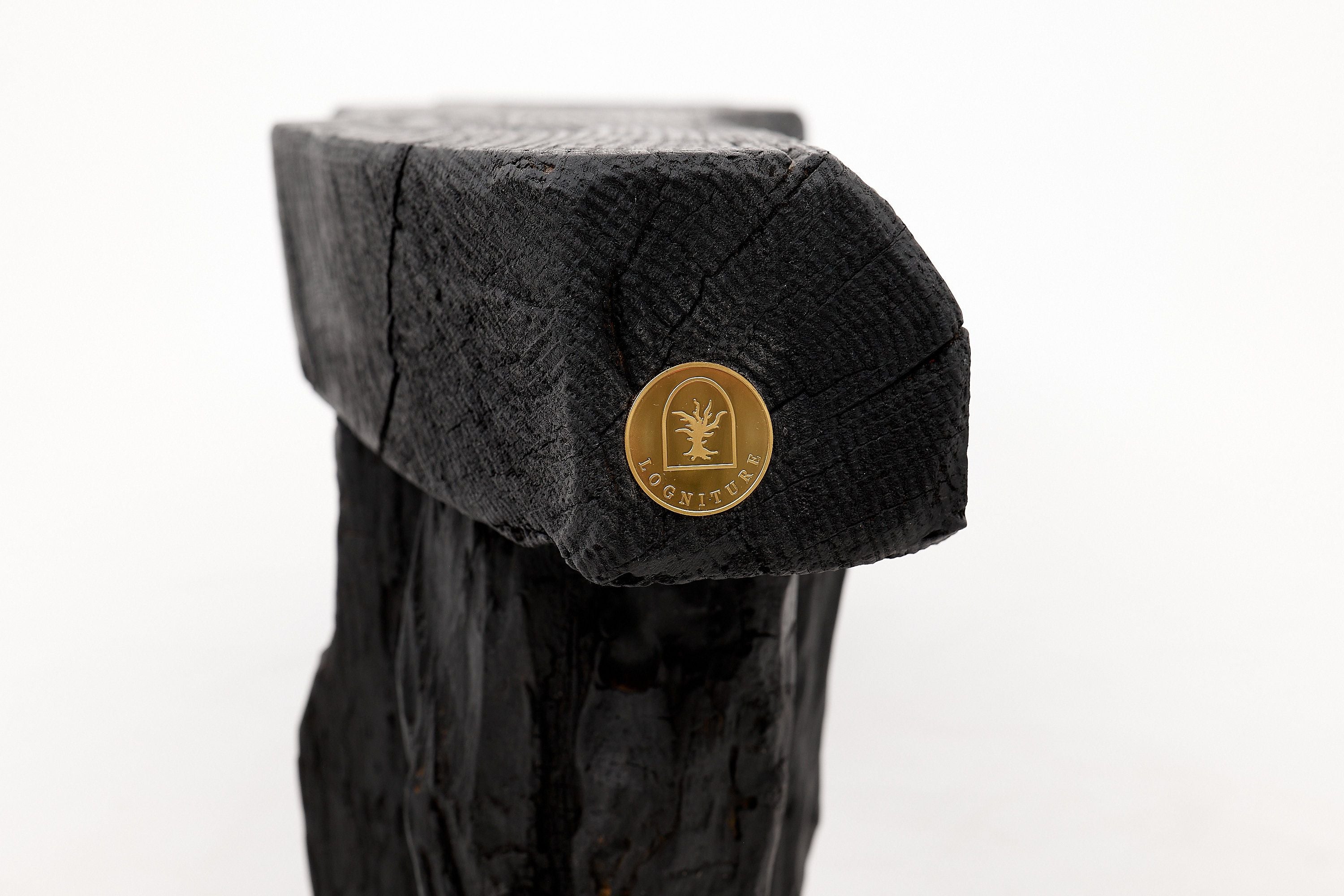 Jownik - Charred Wood Bench with Sculpted Trunk Legs - image 15