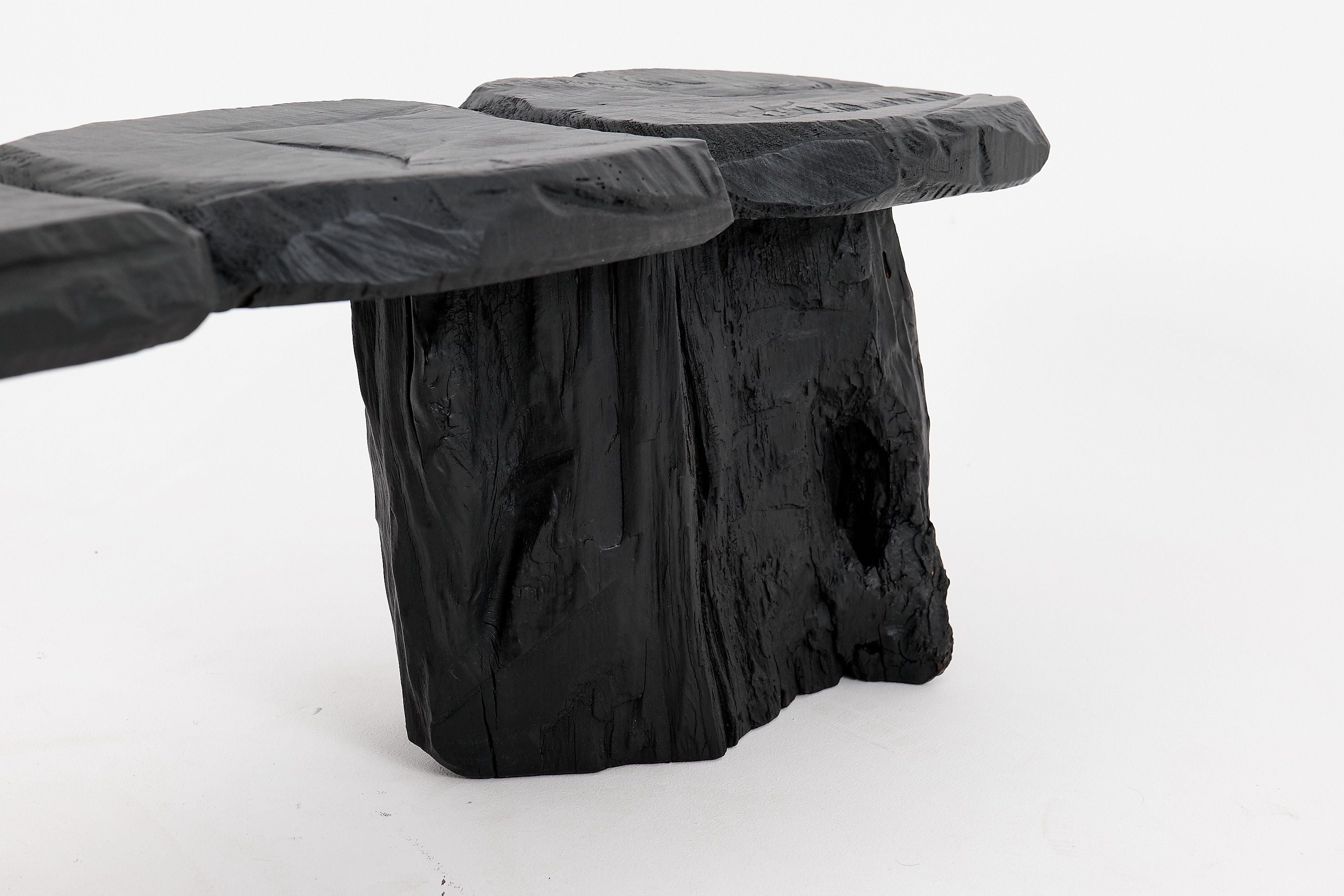 Jownik, Charred Wood Bench - Organic Character & Raw Elegance - image 9