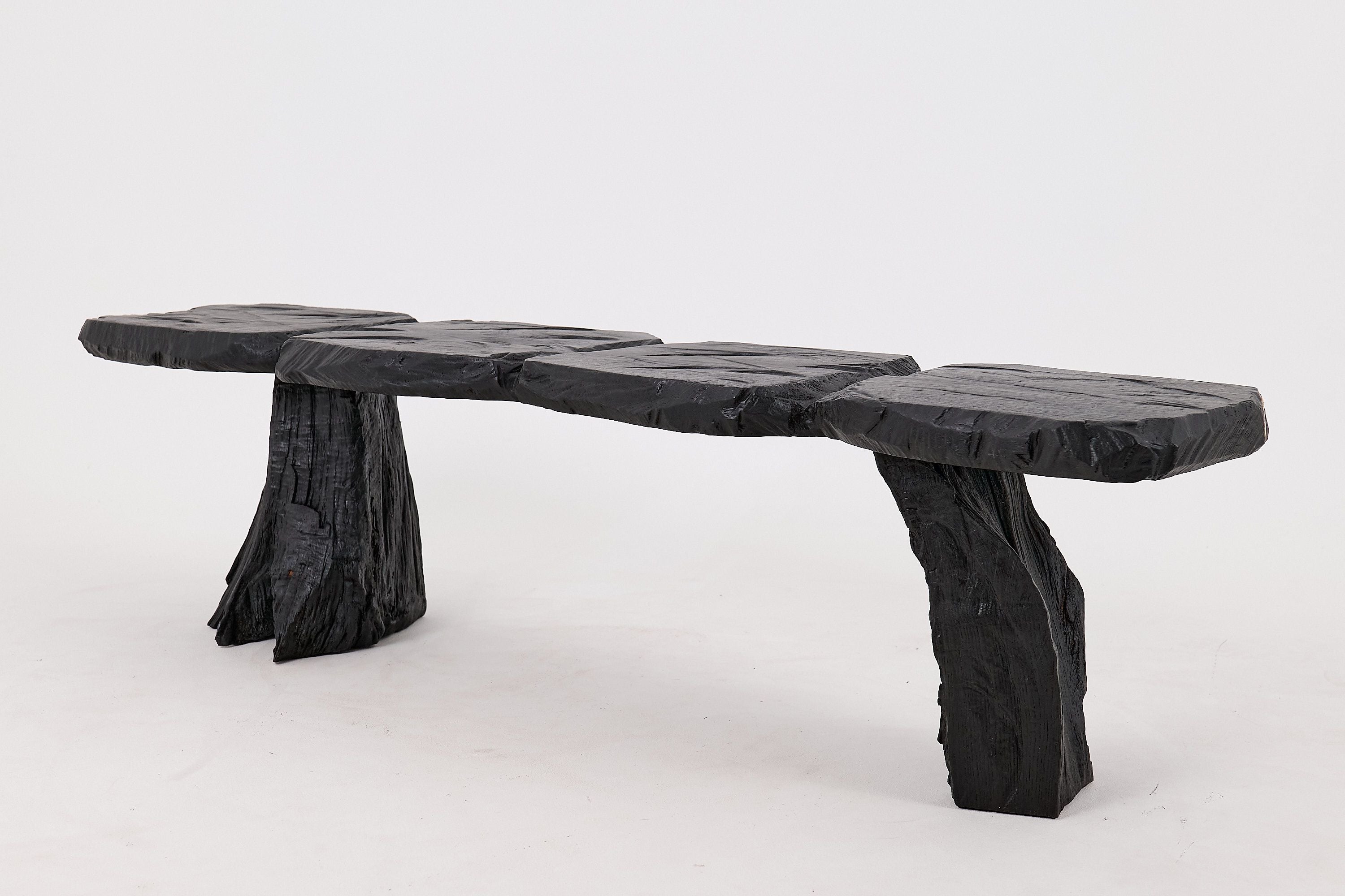 Jownik, Charred Wood Bench - Sculptural Form & Organic Flow - image 5