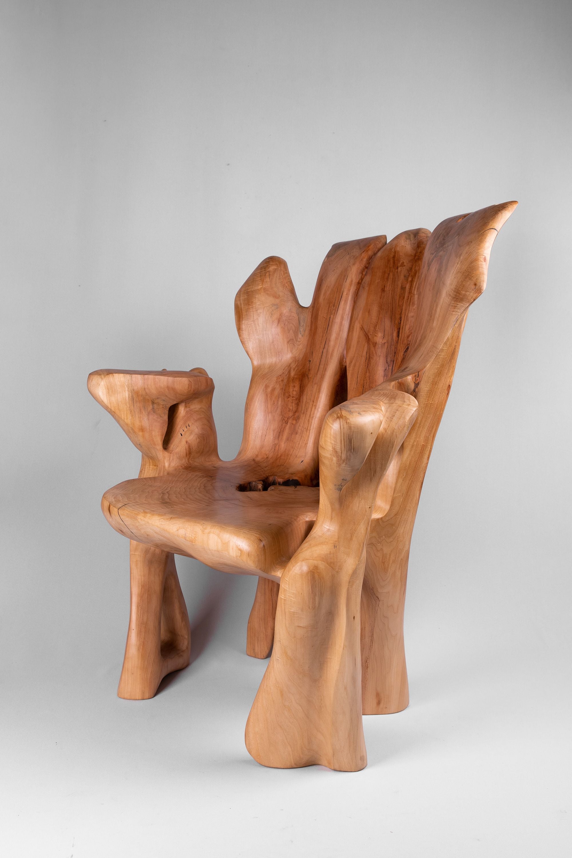 Veles, Chainsaw-Carved Sculptural Chair â Flowing Form in Solid Wood - image 5