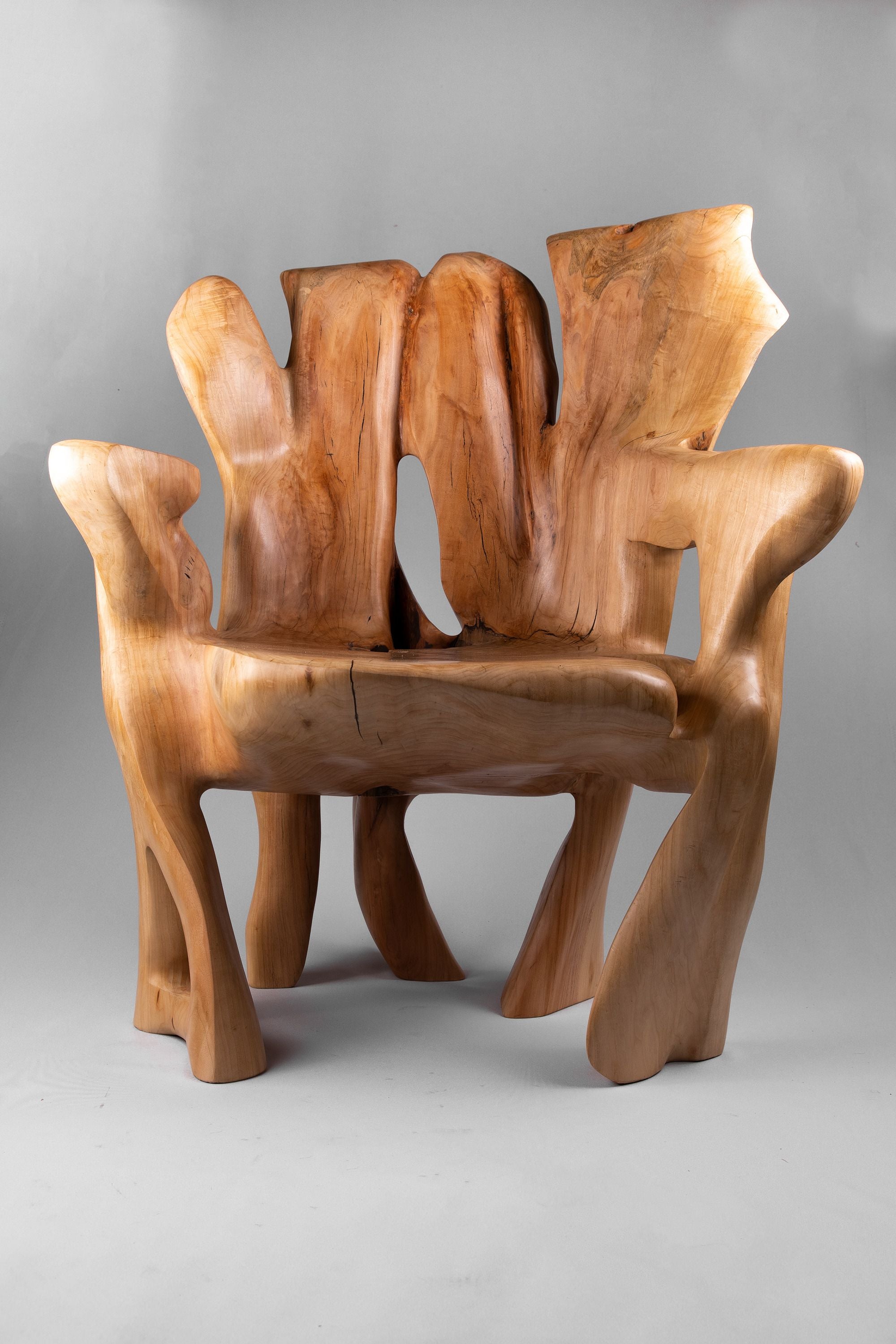 Veles, Chainsaw-Carved Sculptural Chair â Flowing Form in Solid Wood - image 2