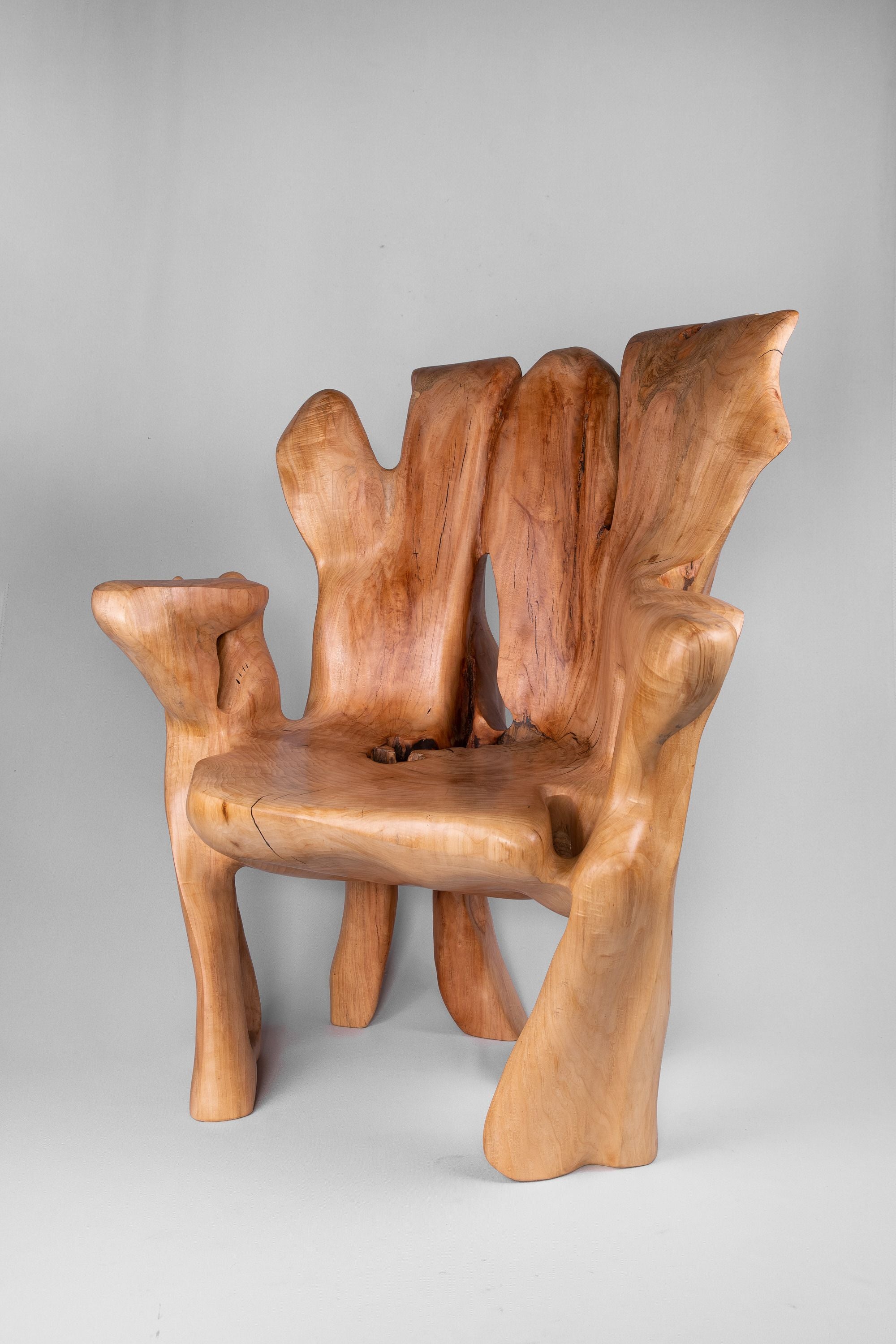 Veles, Chainsaw-Carved Sculptural Chair â Flowing Form in Solid Wood - image 4