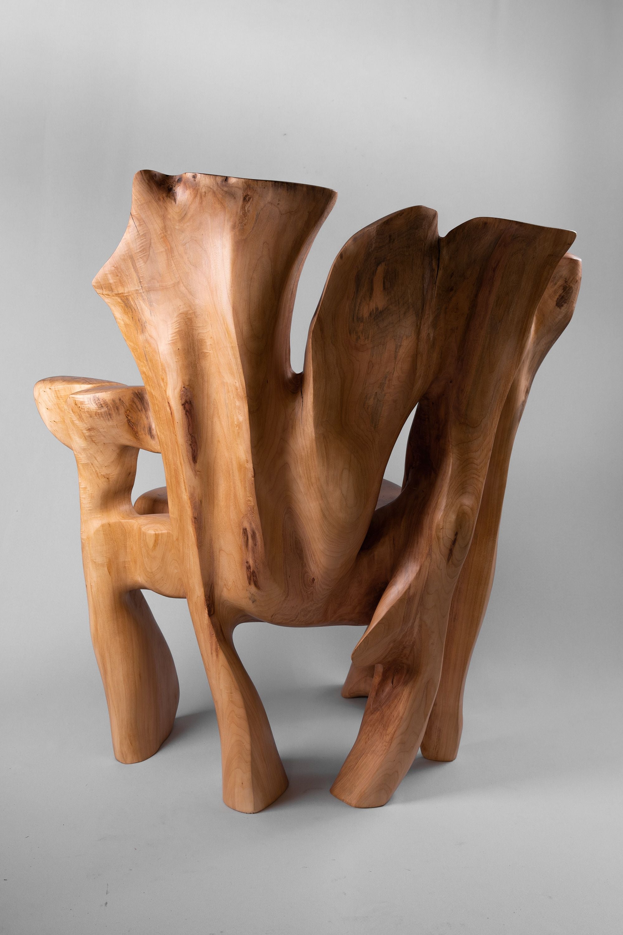 Veles, Chainsaw-Carved Sculptural Chair â Flowing Form in Solid Wood - image 8