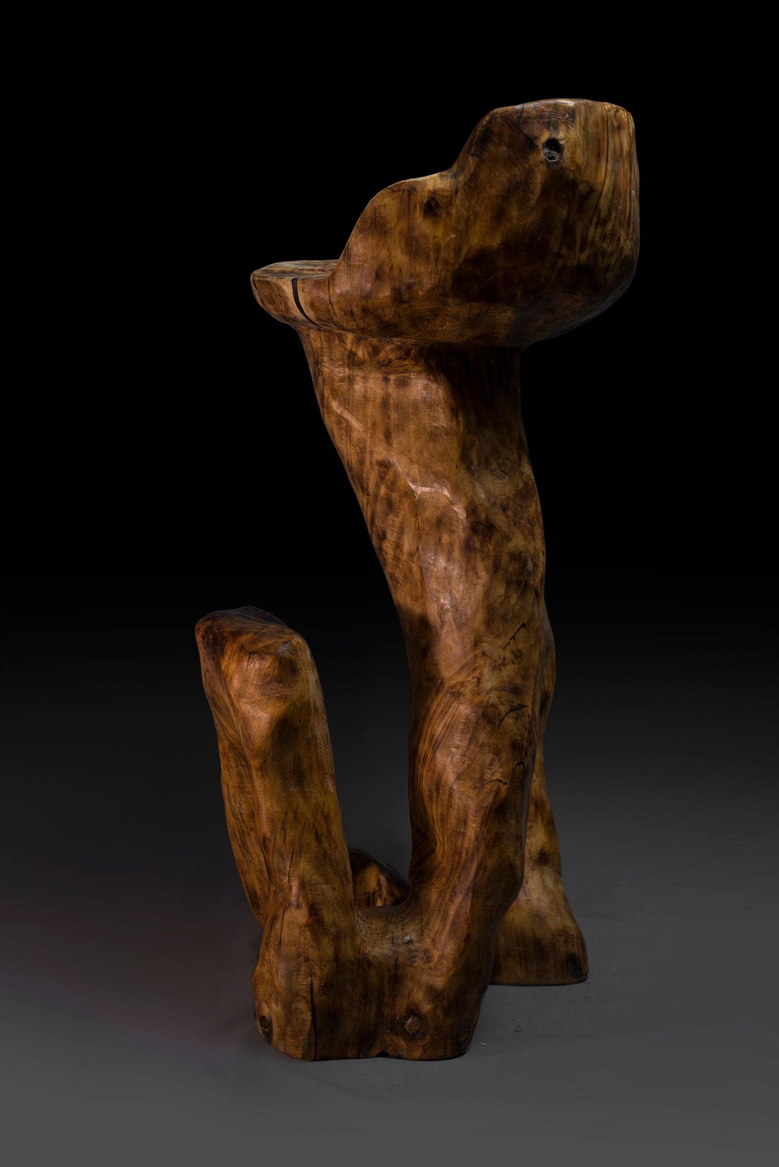 Makha, Rustic Sculptural Bar Chair - image 5