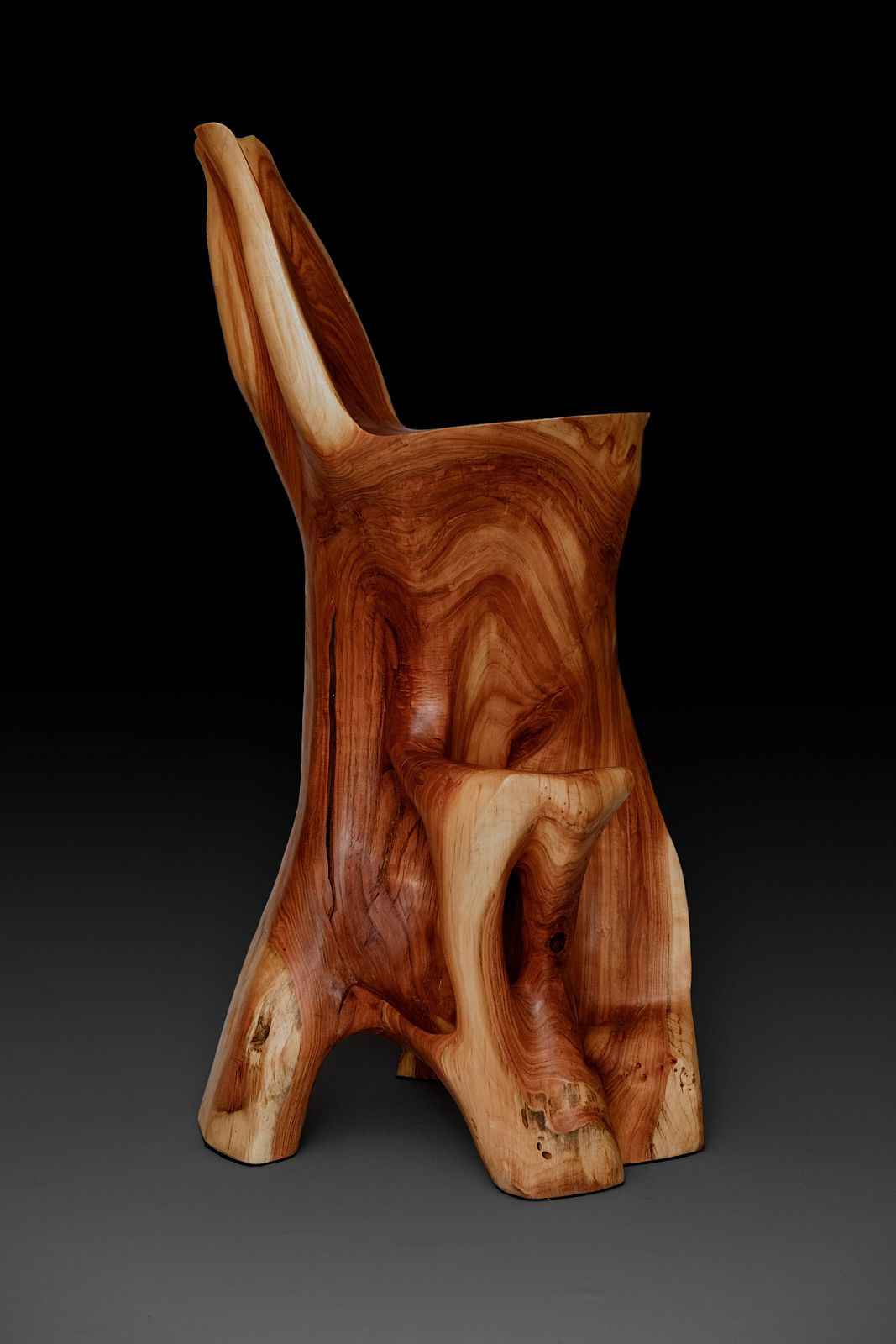 Makha, Flowing High-Back Bar Chair â Carved Sculpture in Natural Hardwood - image 9