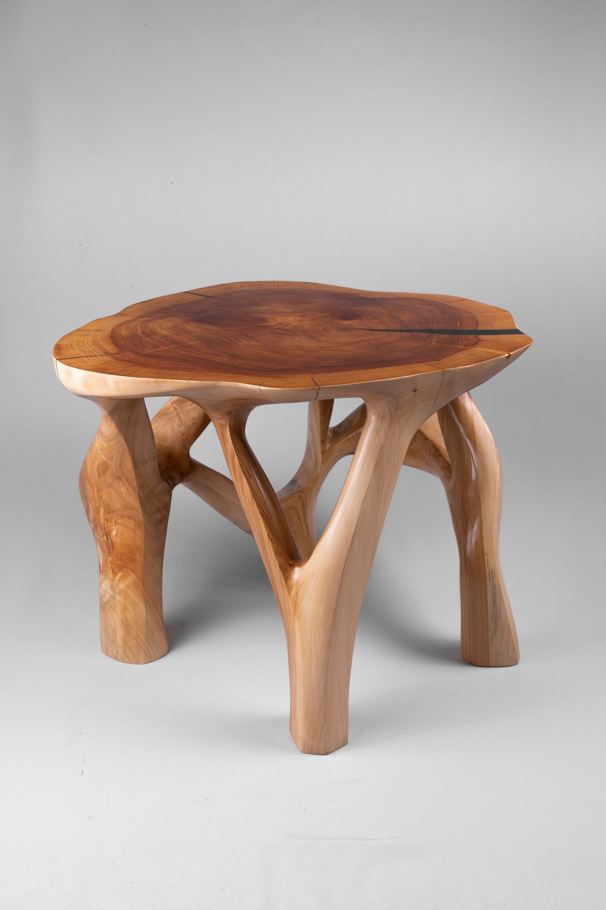 Domus, Sculptural Coffee Table Carved From Solid Wood - image 9