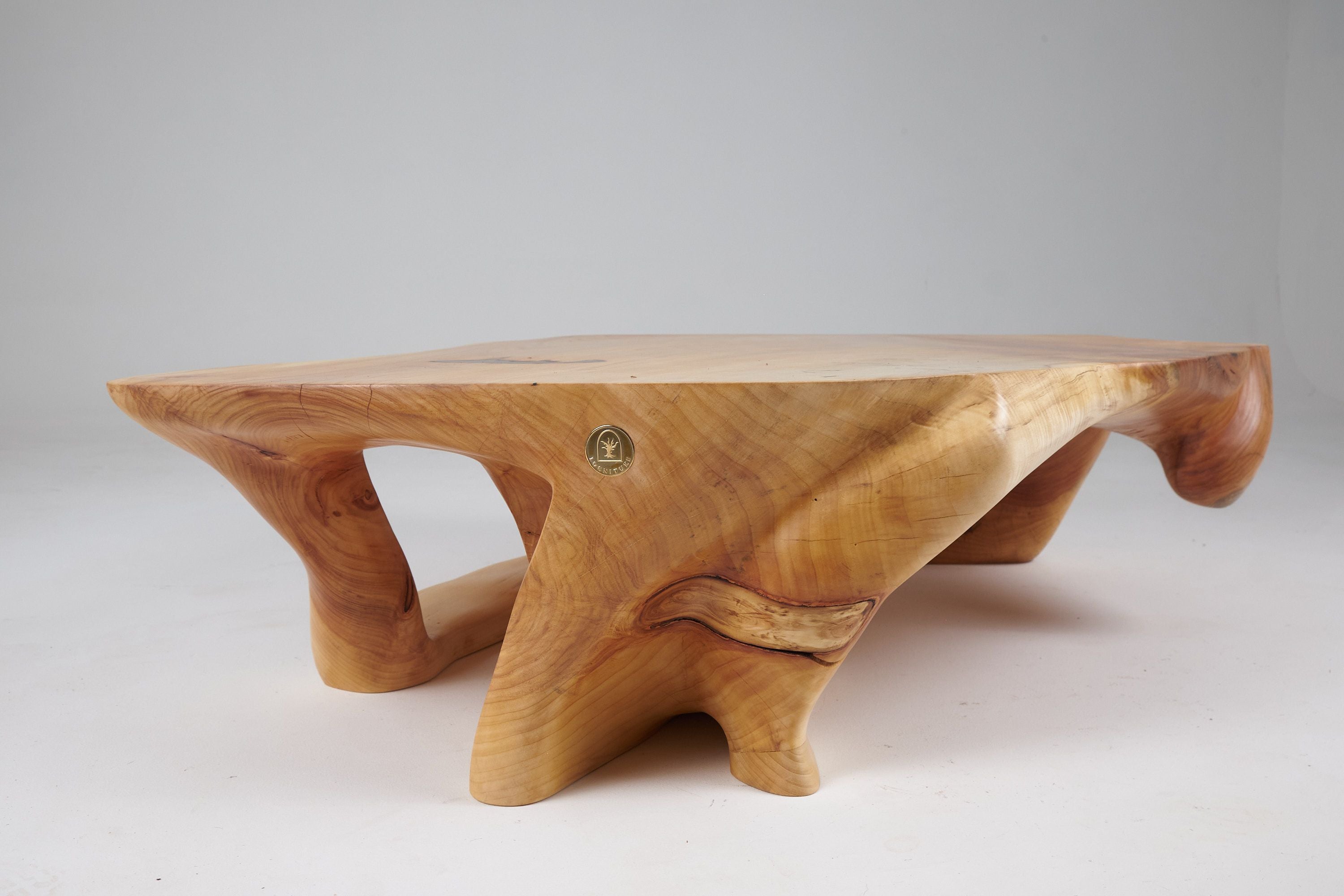 Domus, Sculptural Low Table Carved From Solid Wood - image 9