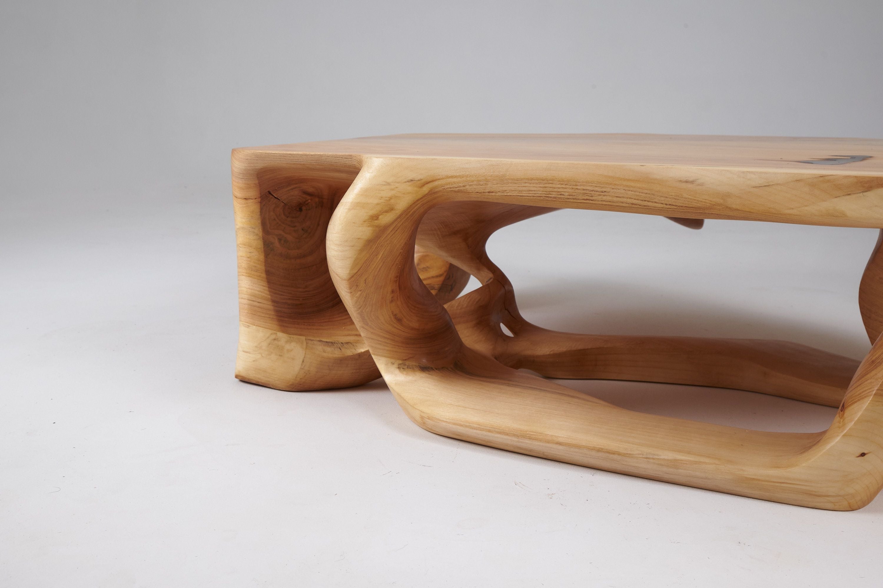 Domus, Sculptural Low Table Carved From Solid Wood - image 14