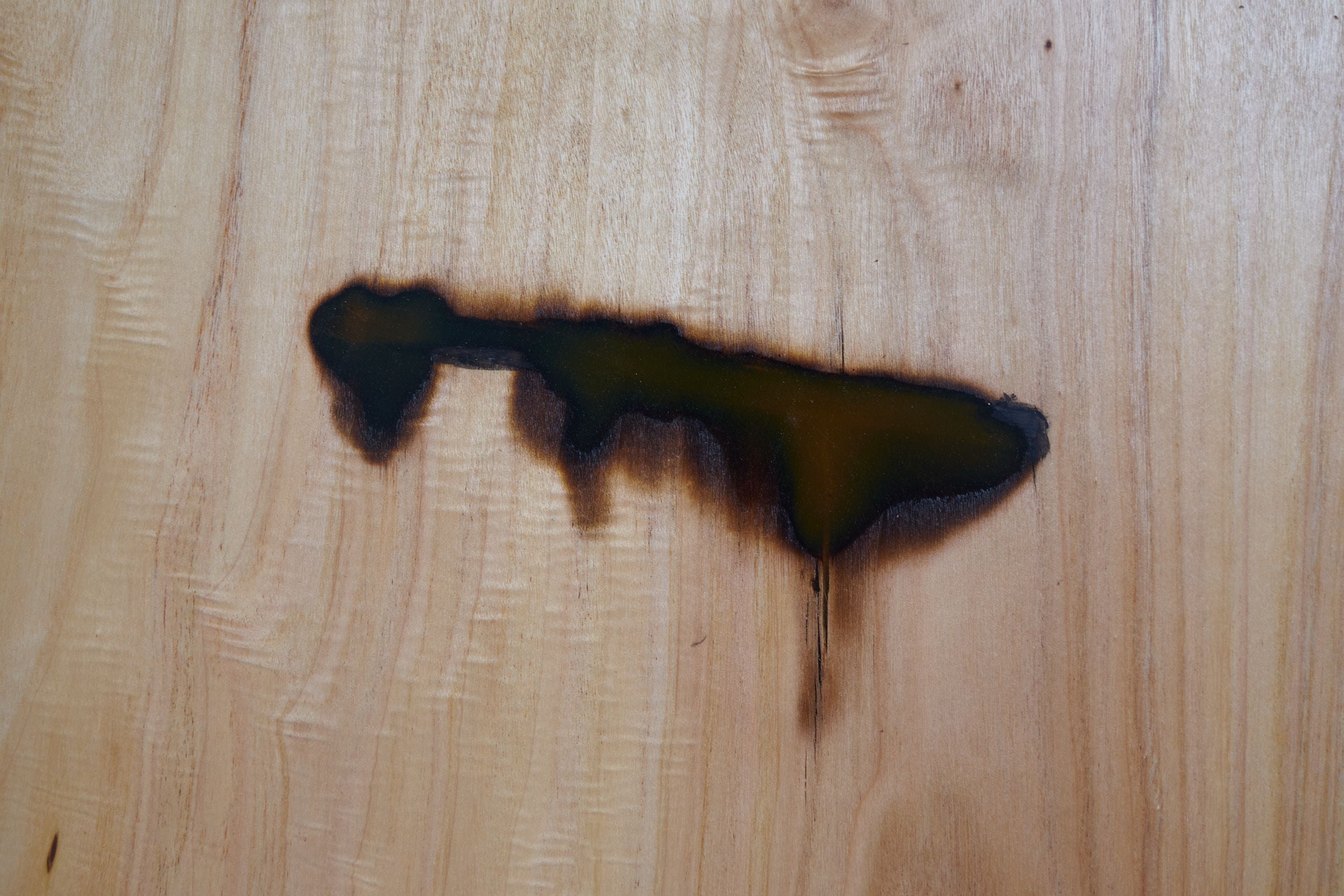 Domus, Sculptural Low Table Carved From Solid Wood - image 17