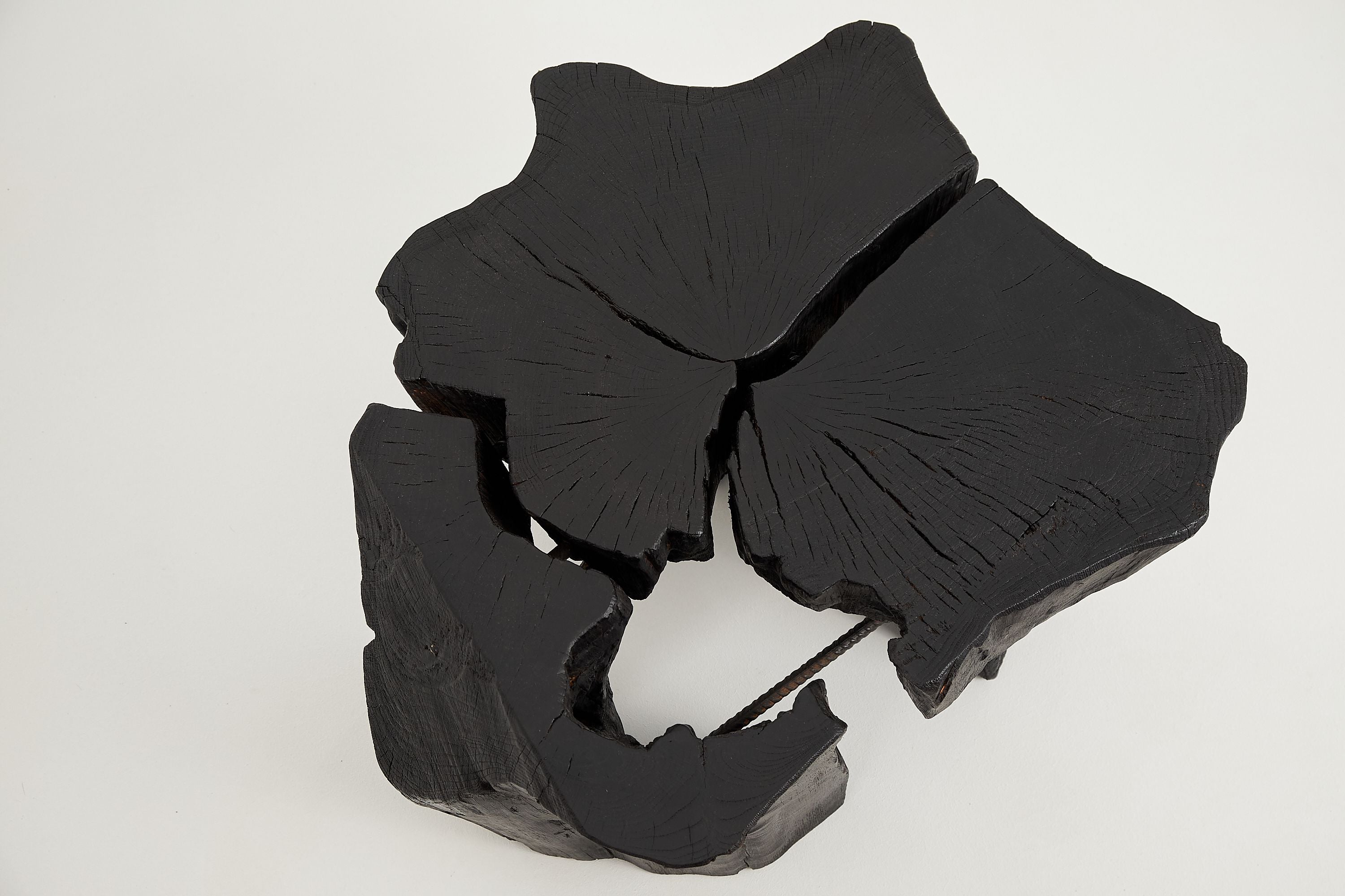 Jownik, Charred Round Coffee Table - image 9