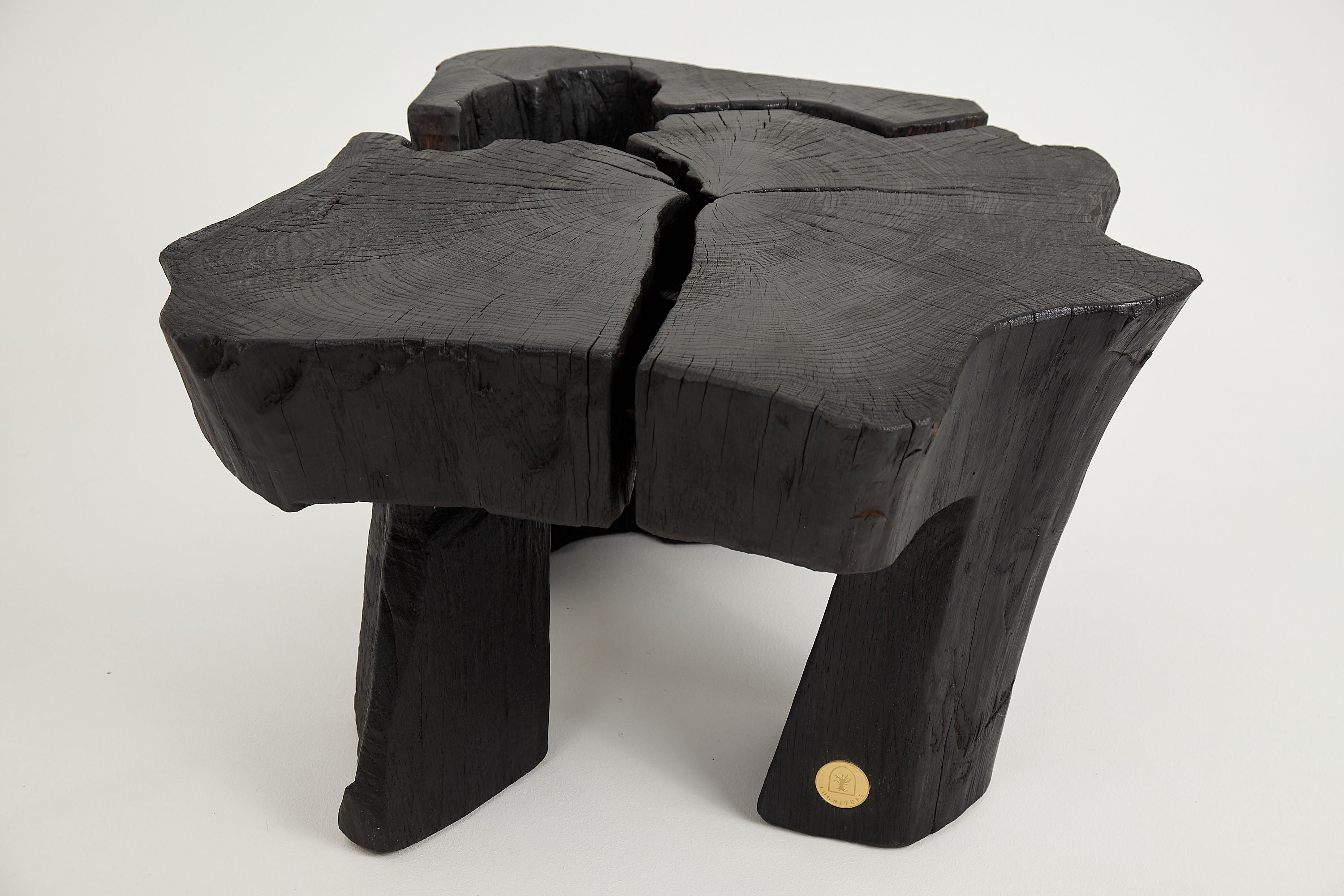 Jownik, Charred Round Coffee Table - image 16
