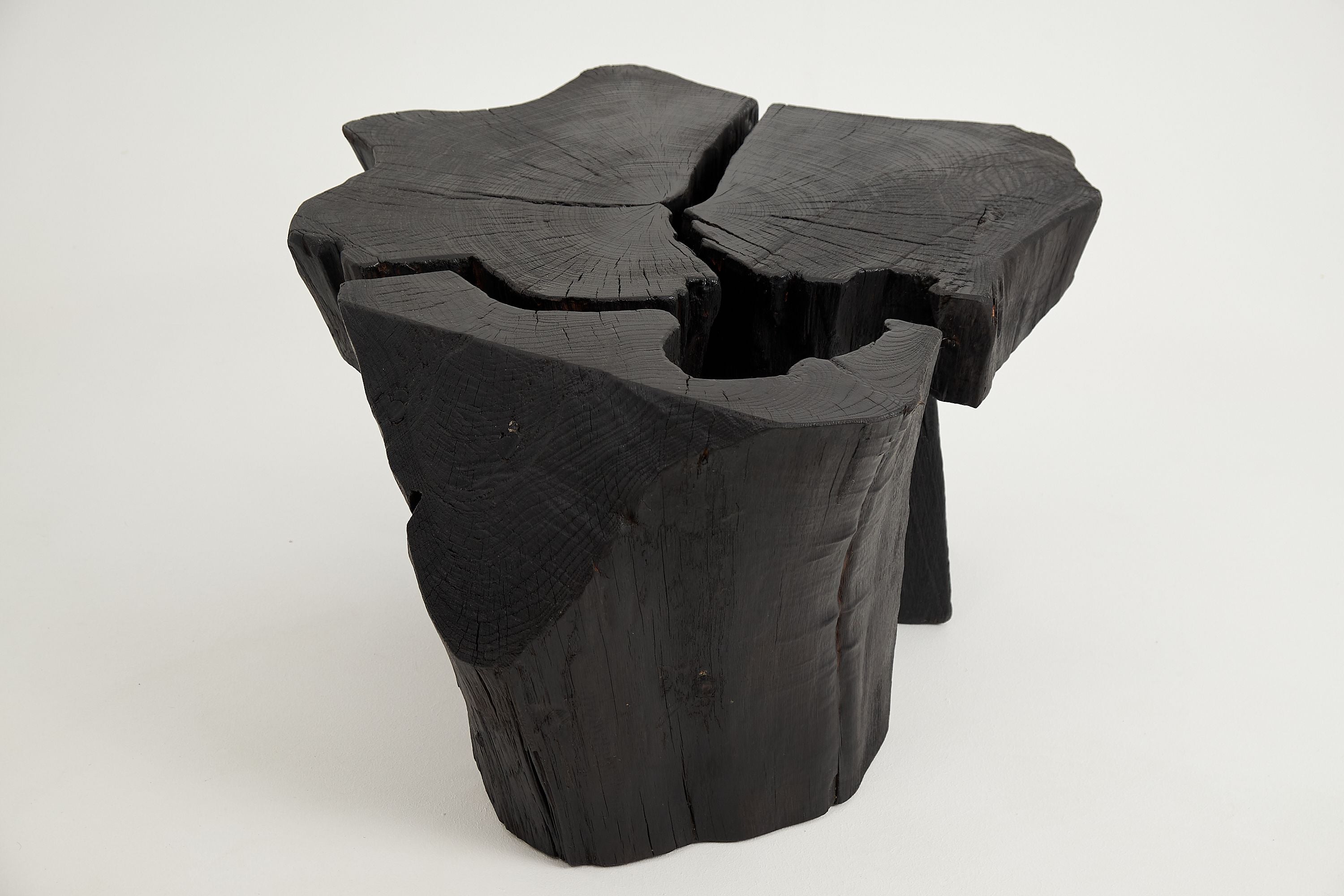 Jownik, Charred Round Coffee Table - image 10