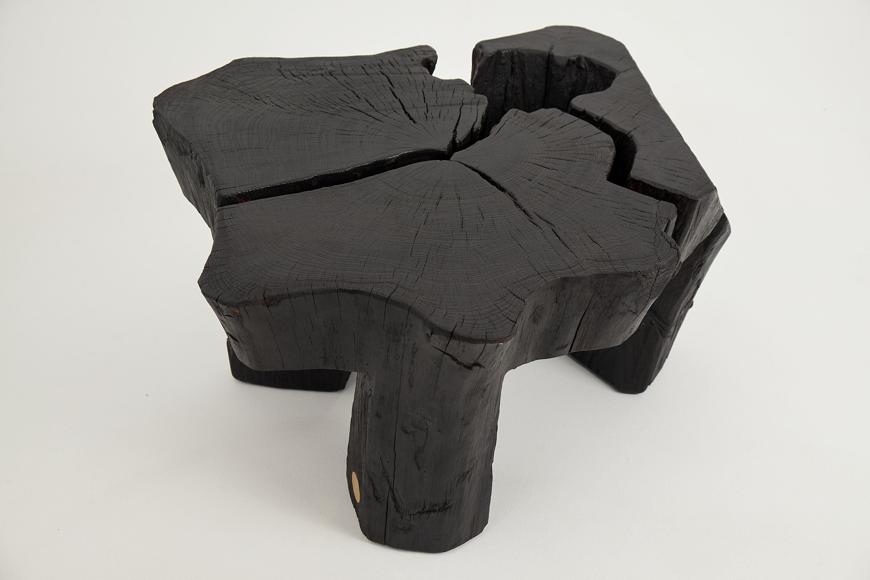 Jownik, Charred Round Coffee Table - image 15