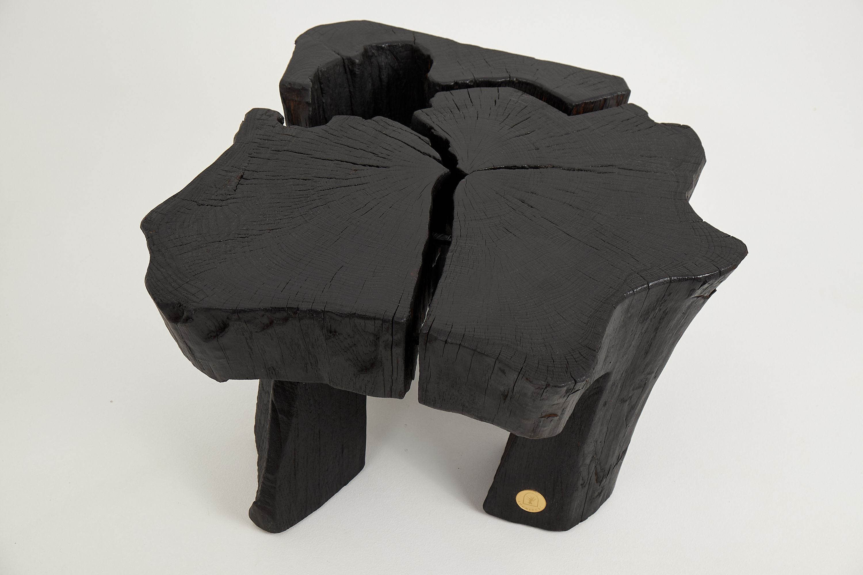 Jownik, Charred Round Coffee Table - image 17