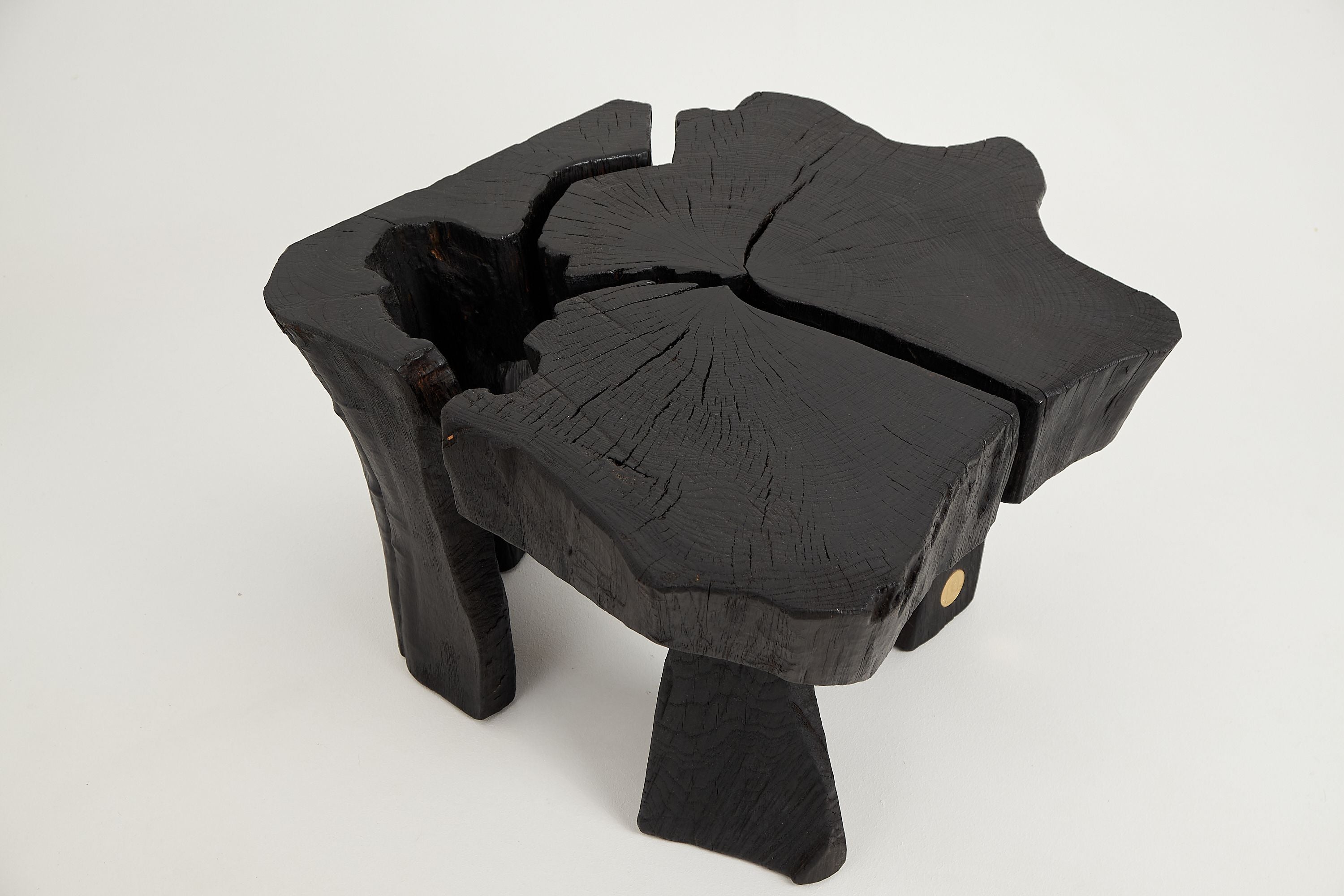 Jownik, Charred Round Coffee Table - image 21