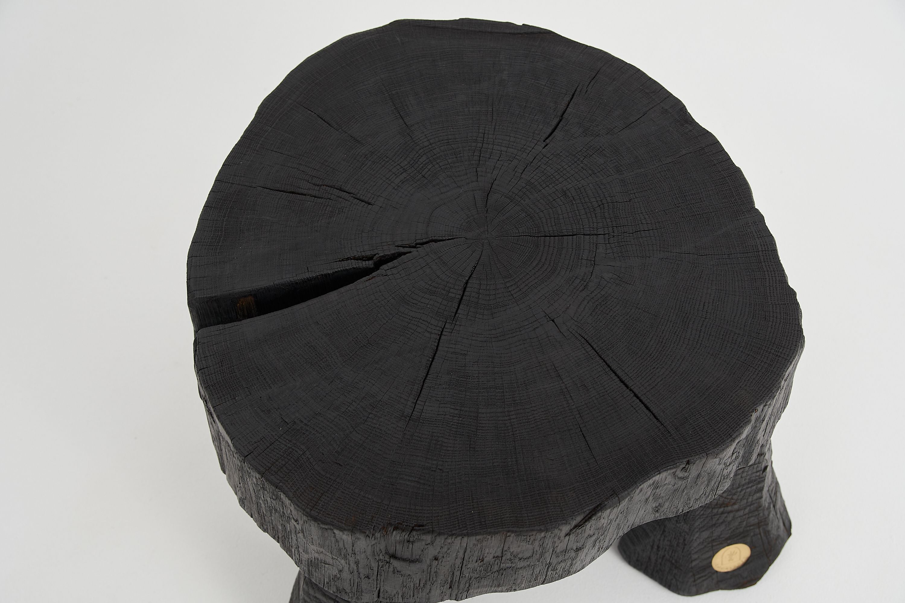 Jownik, Charred Round Coffee Table - image 12